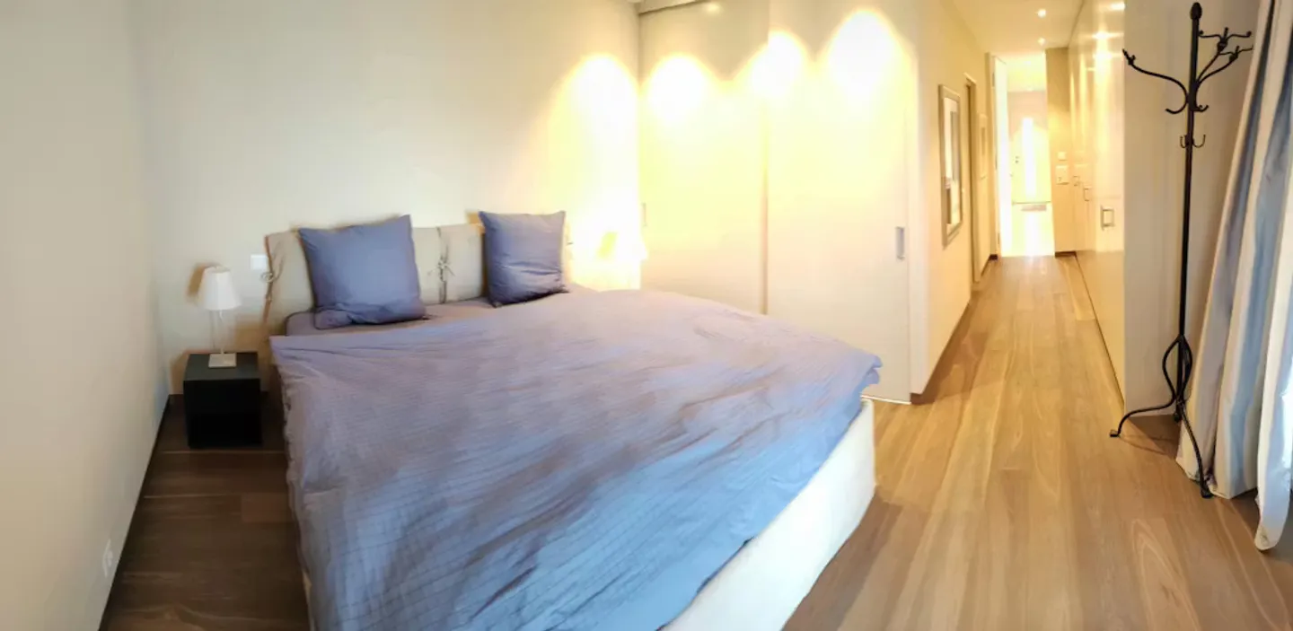 Charming Apartment in Horgen - Photo 9 of 10