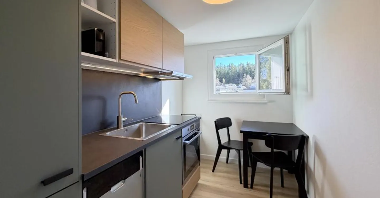 Renovated Attic Apartment - Photo 3 of 10