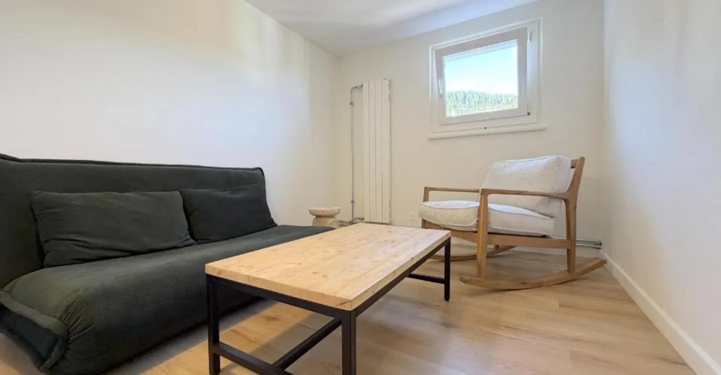 Renovated Attic Apartment - Photo 6 of 10