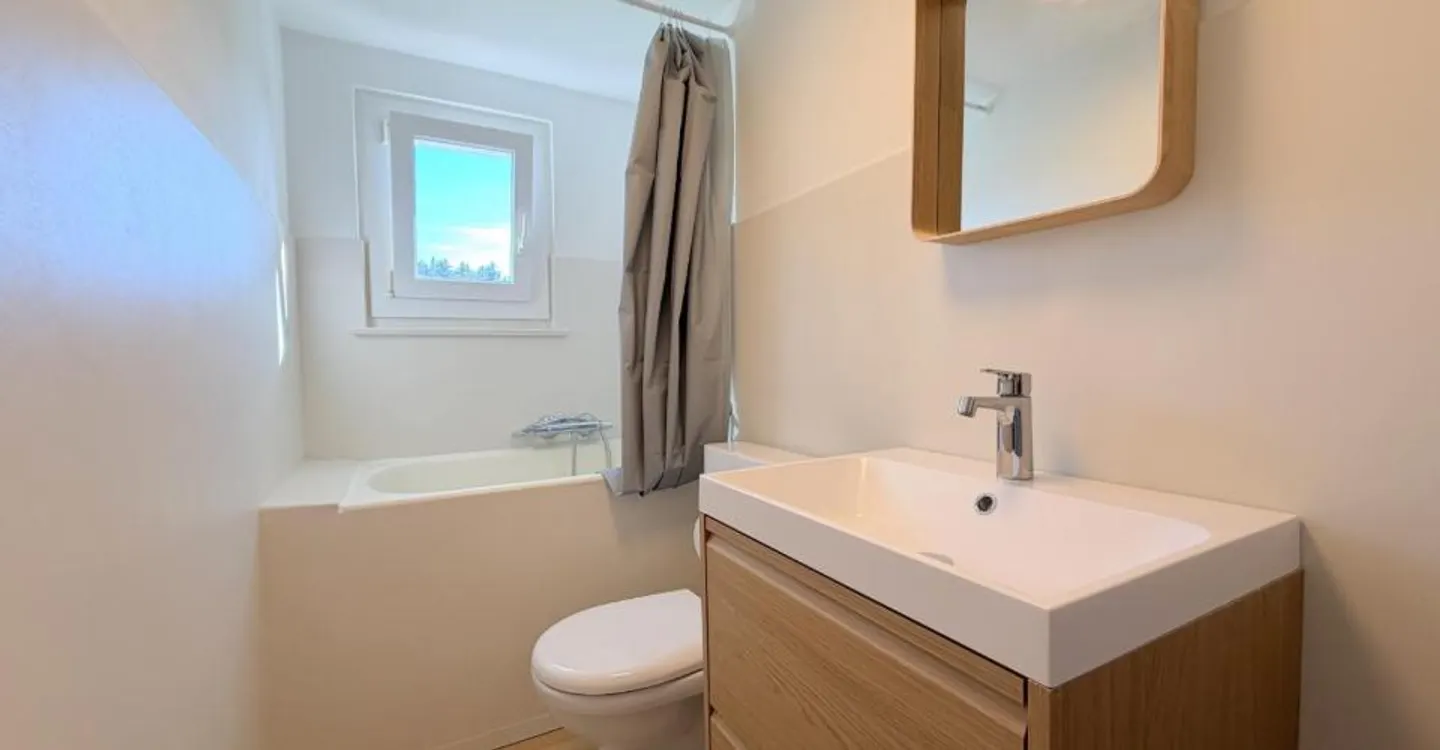 Renovated Attic Apartment - Photo 9 of 10