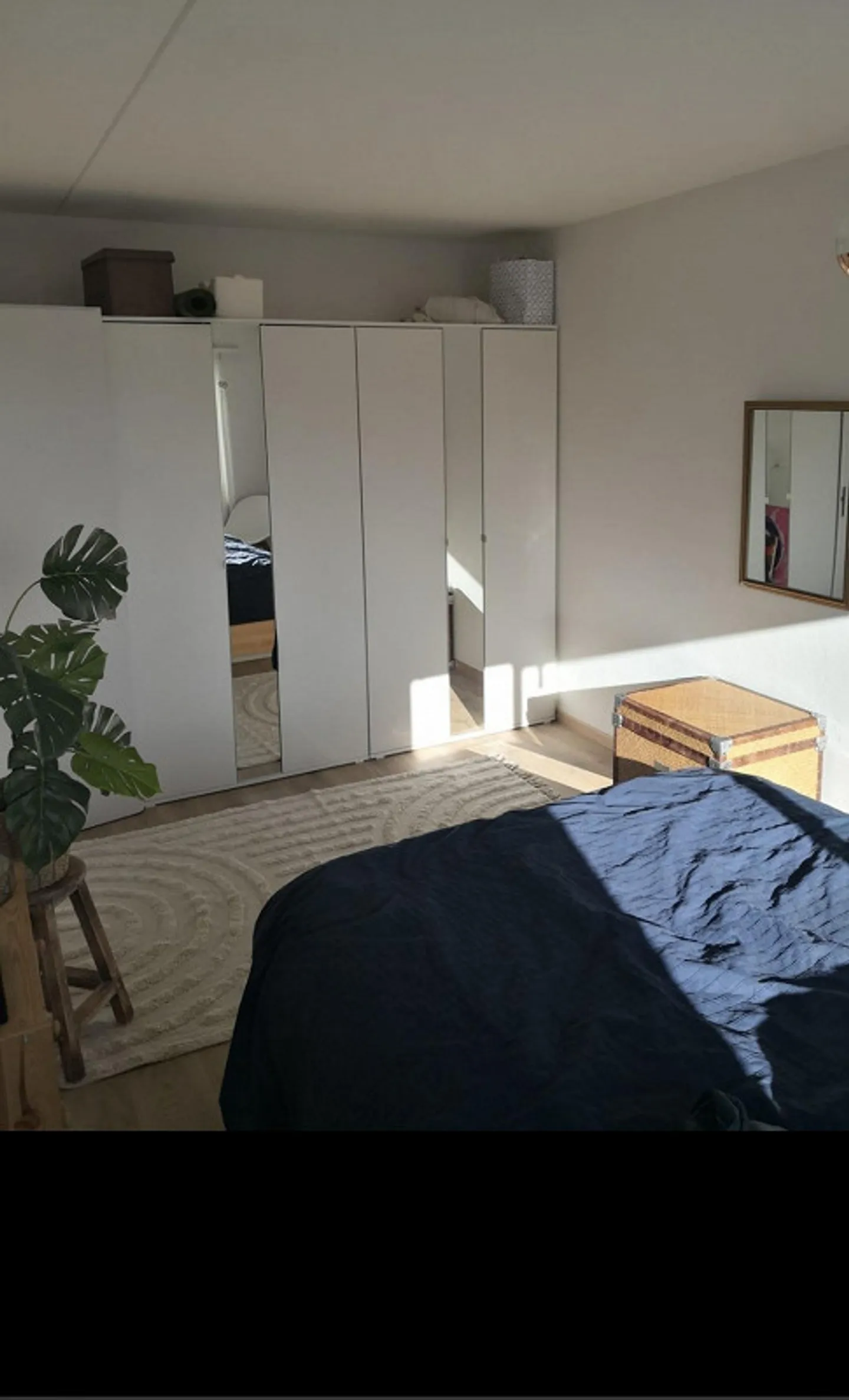 Appartement de 2 pièces à louer à Hausen am Albis - Photo 3 sur 7