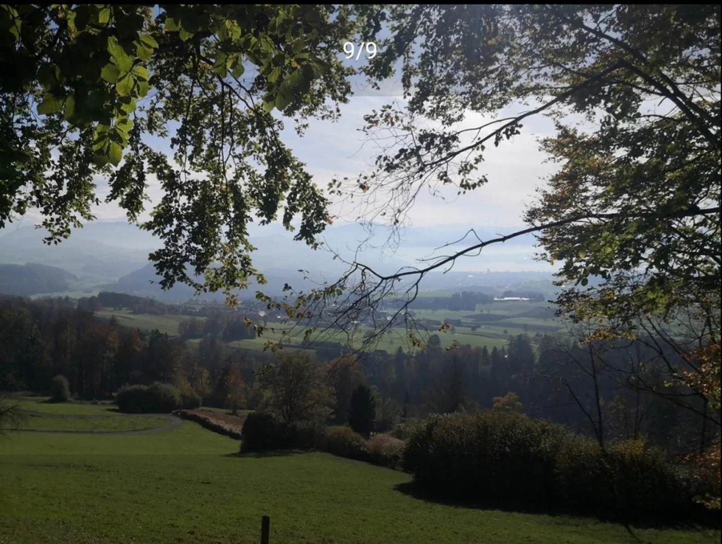 Appartement de 2 pièces à louer à Hausen am Albis - Photo 7 sur 7