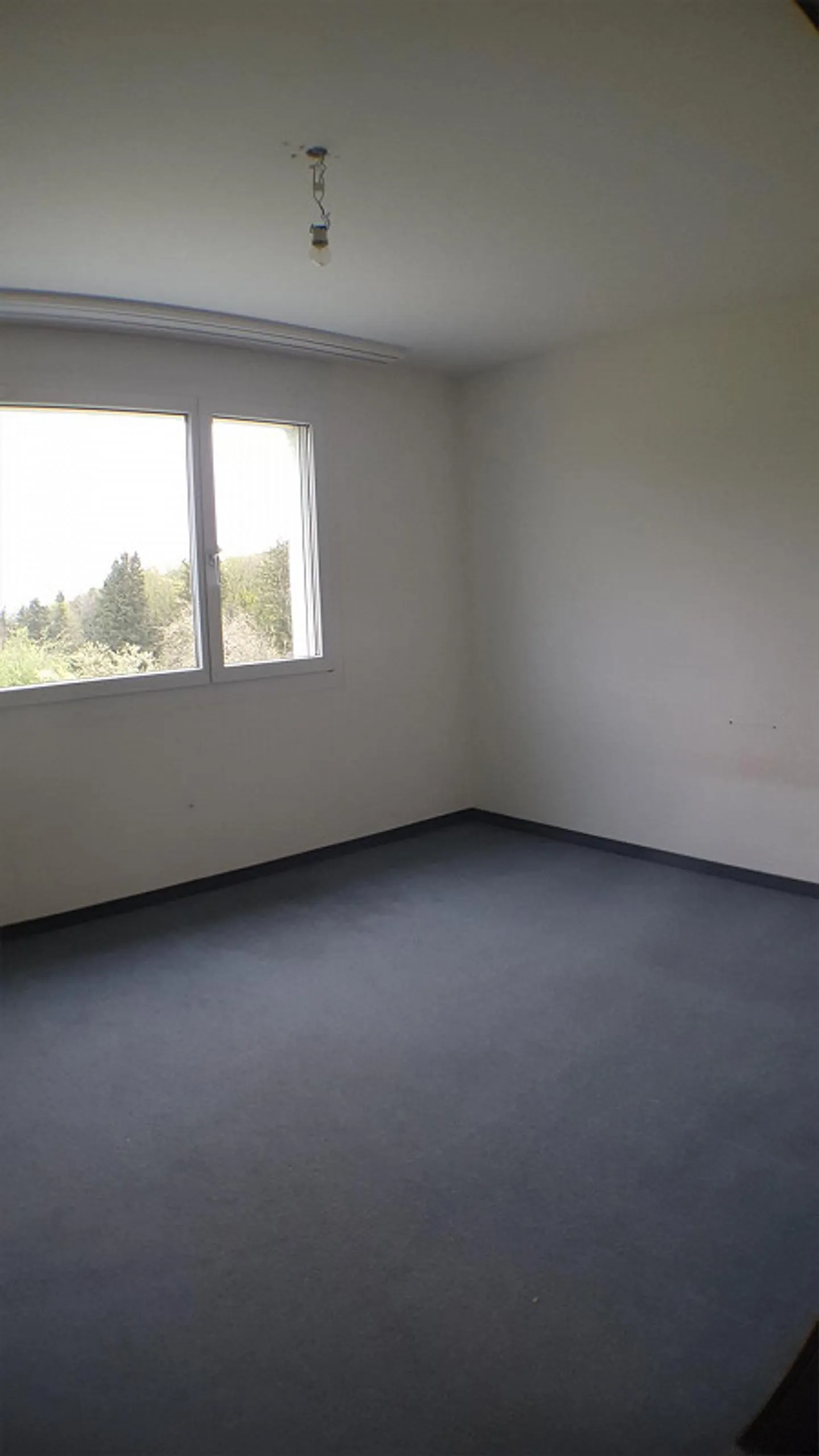 Apartment - Photo 3 of 6