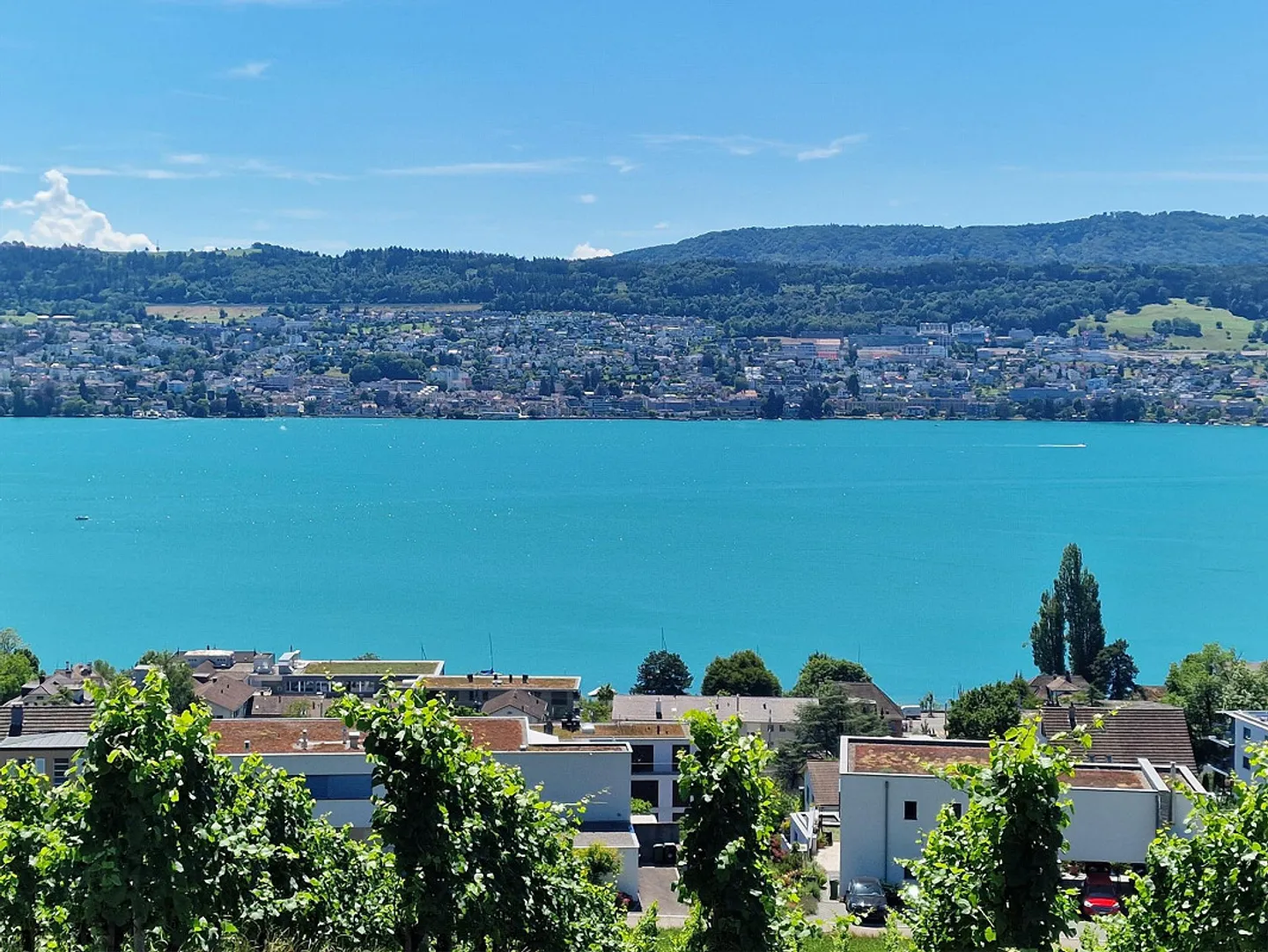 Inizia e termina ogni giorno con questa vista da sogno - Foto 1 di 9