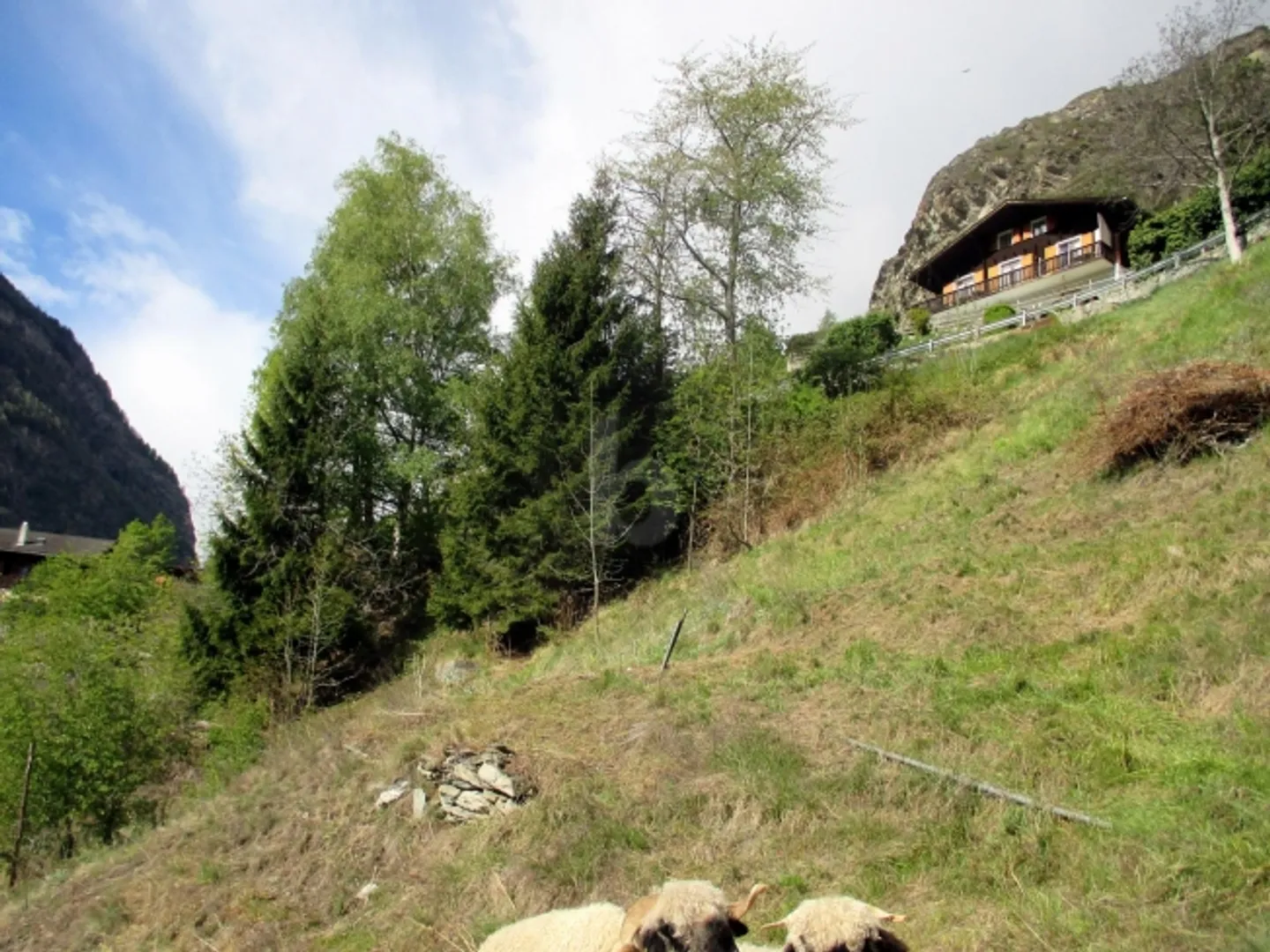 Terreno edificabile in vendita - Foto 4 di 6