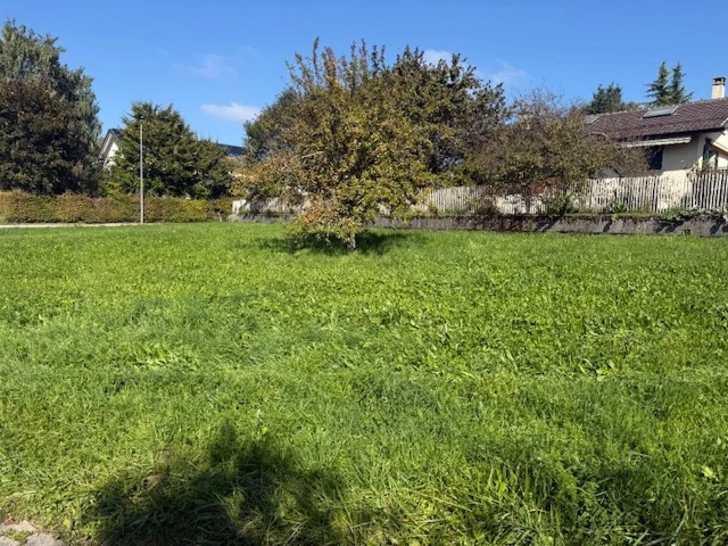 Savigny - Foto 3 di 4