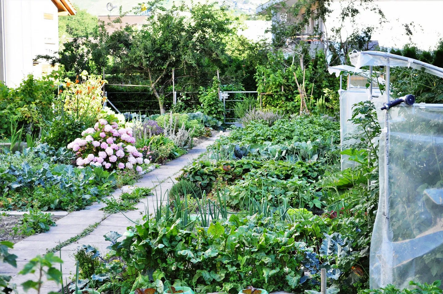 Schrebergarten in Chur - Foto 1 di 1