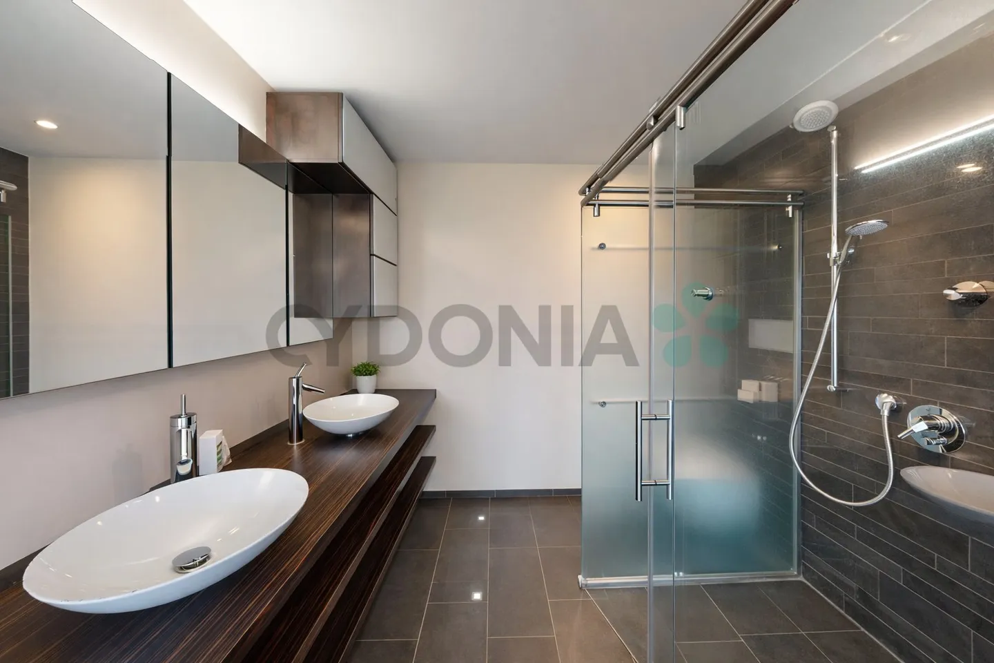 Duplex-Penthouse à Plan-les-Ouates - Photo 5 sur 9