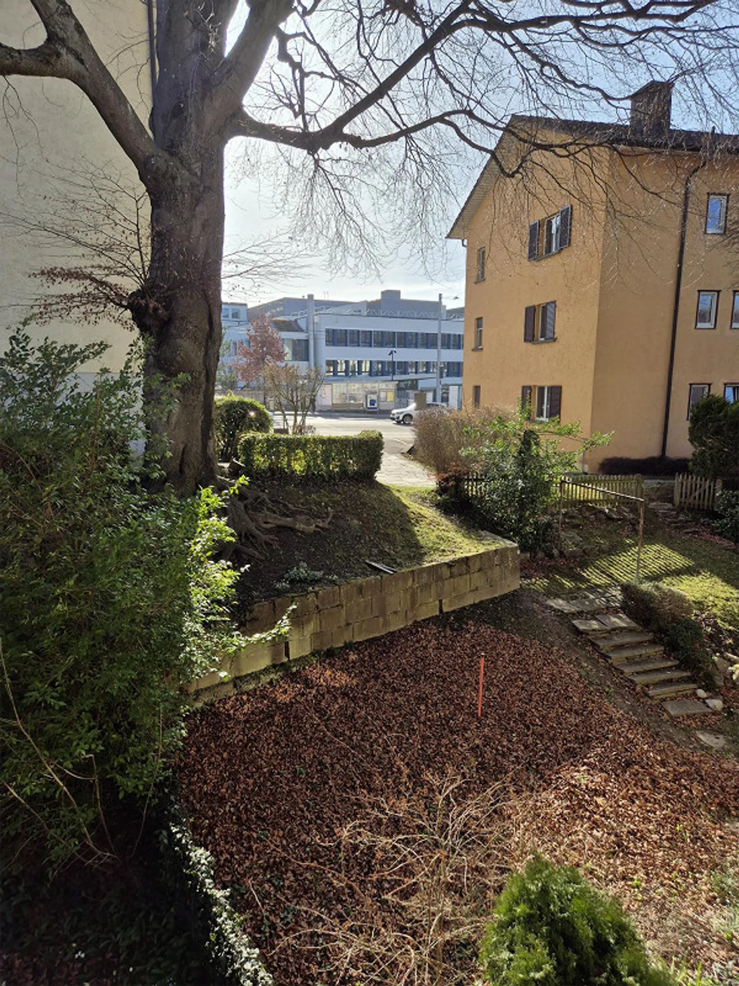 Appartamento centrale vicino a Balgrist - Foto 9 di 10