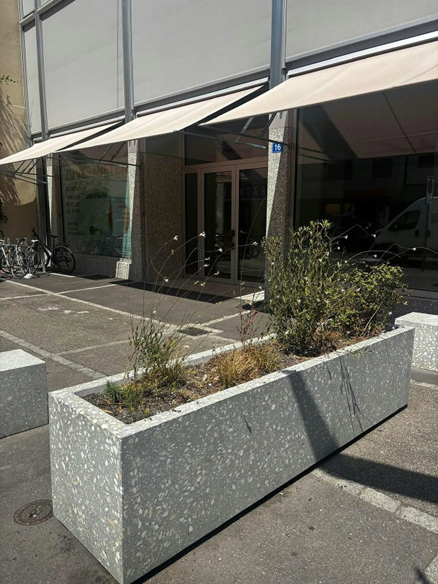 Angolo d'Oro - Spazio Commerciale e di Vendita in Affitto - Foto 4 di 13