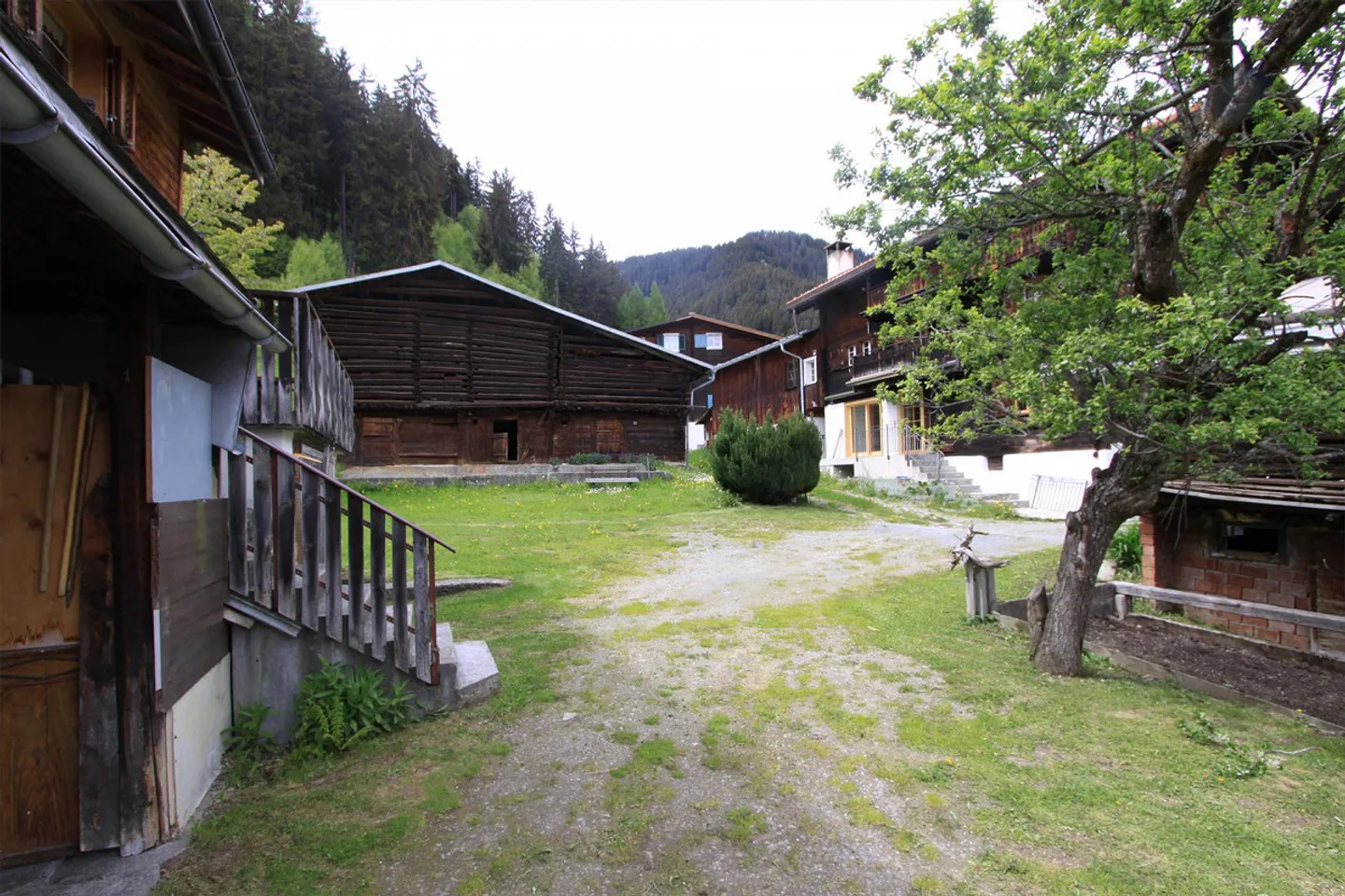 Two-family house in Segnas, Disentis/Mustér - Photo 5 of 16