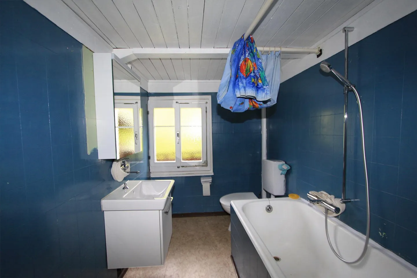 Two-family house in Segnas, Disentis/Mustér - Photo 15 of 16