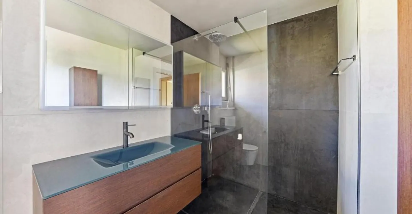 Charming Apartment in Bursinel - Photo 7 of 8