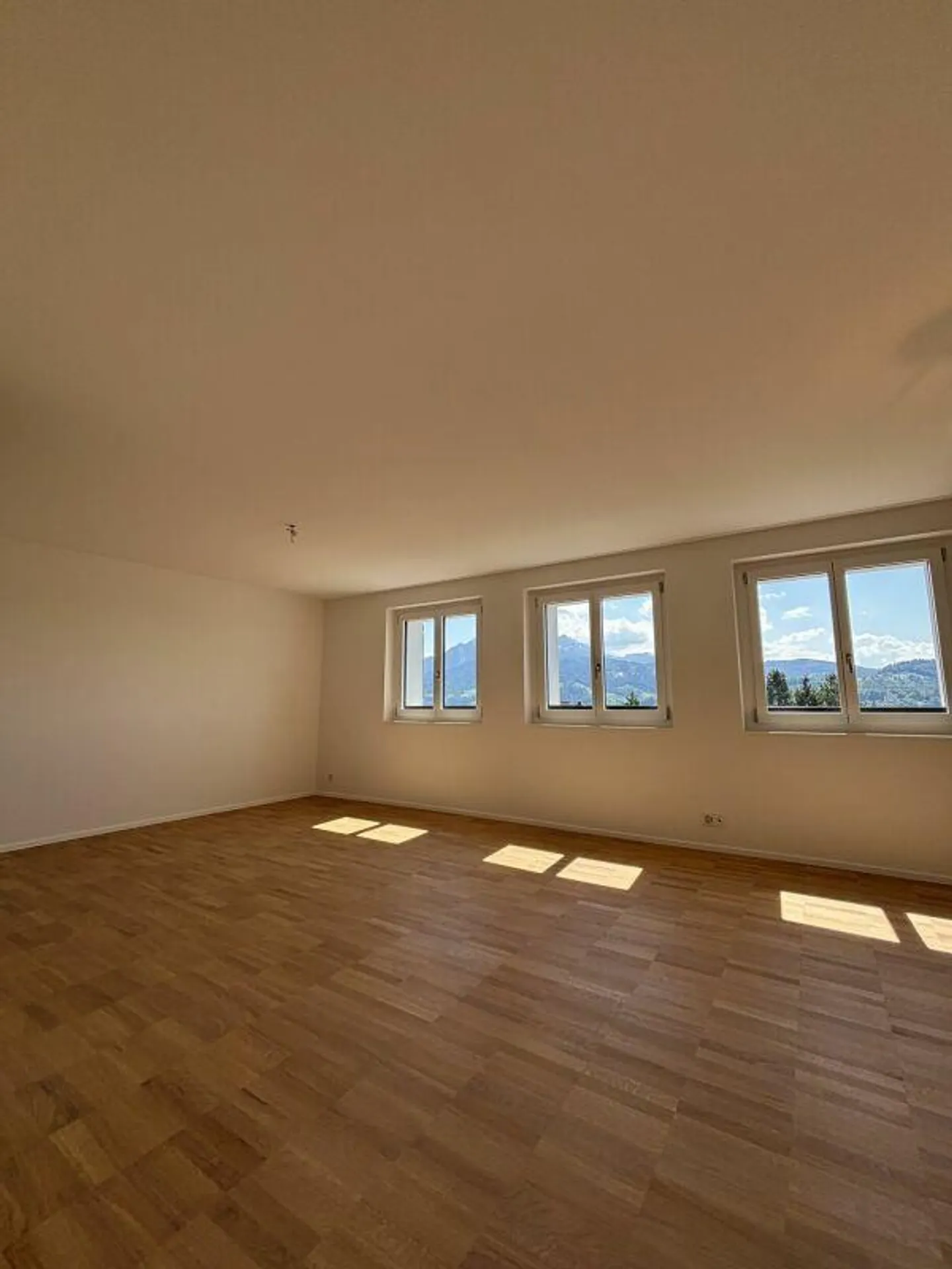 Unique Living in the Popular Wesemlin Quarter - Photo 5 of 13