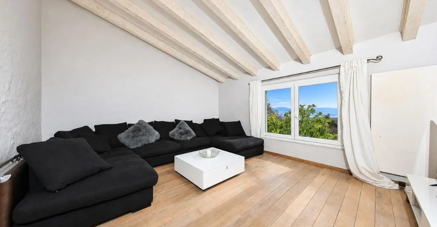Superb villa with a panoramic view of Lake Geneva, the Alps, and Mont Blanc - Photo 8 of 12