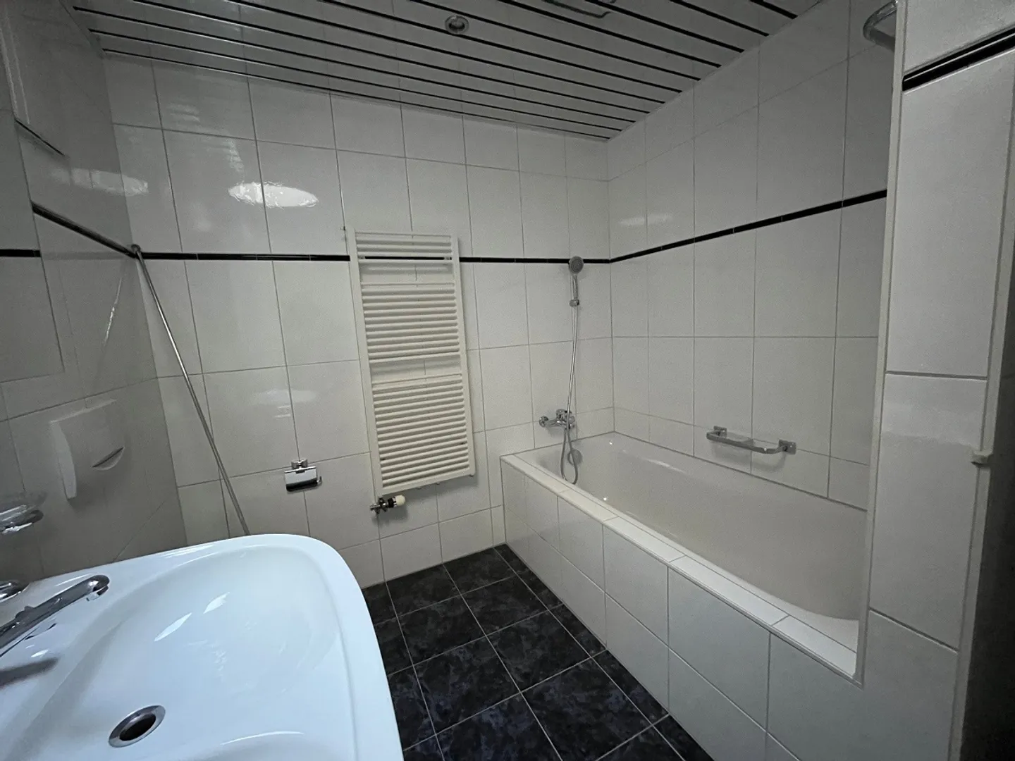 Appartamento attico di 4,5 stanze nel quartiere Schönbühl (Hirtenhof) - Foto 7 di 9