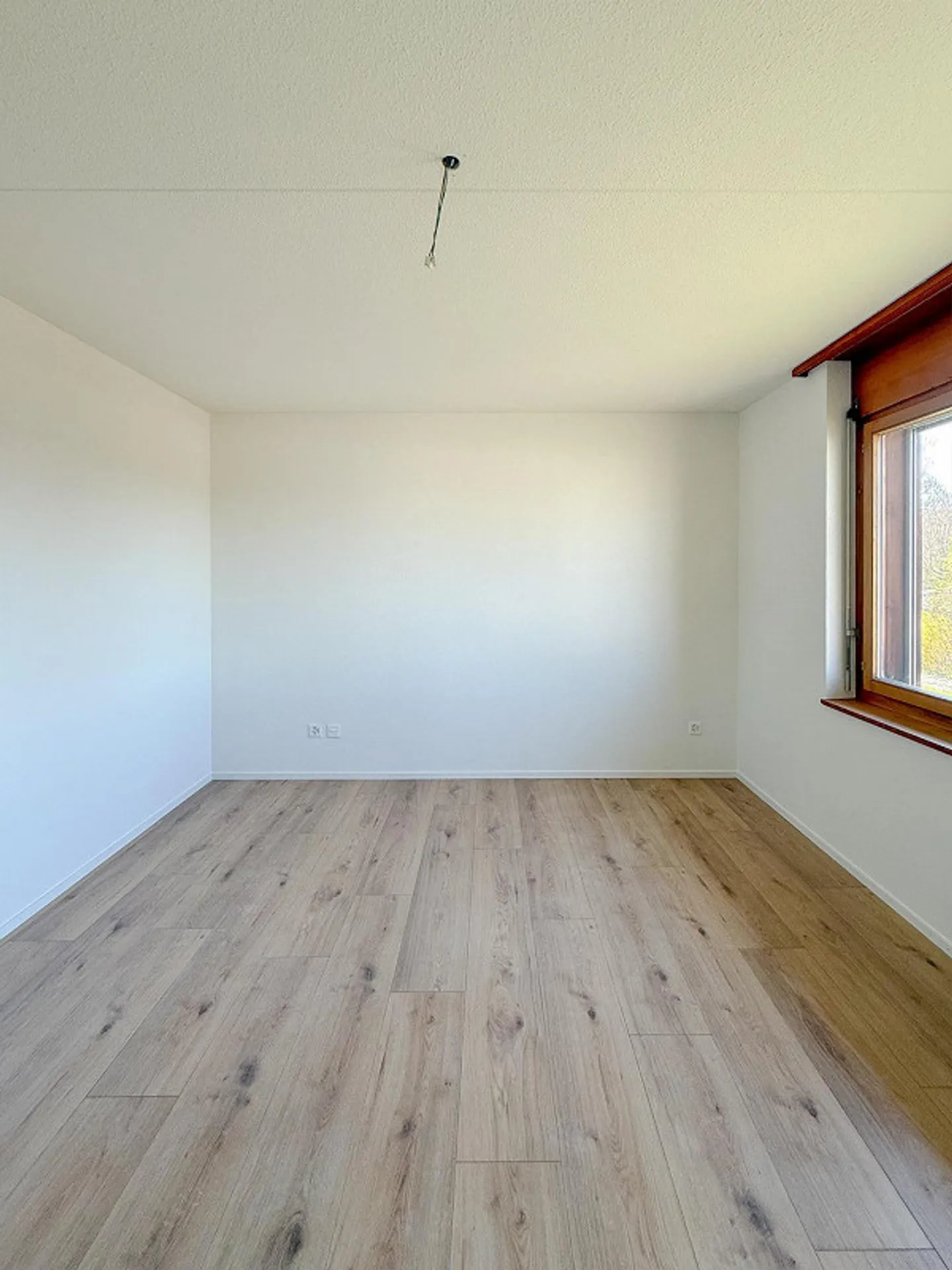 Freshly renovated 2.5 room apartment in a quiet location - Photo 4 of 8