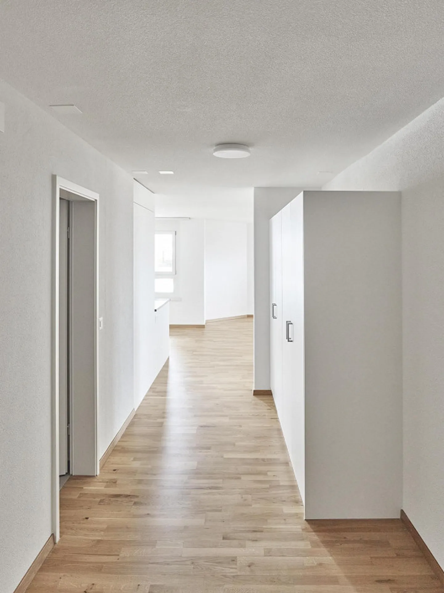 Modern Apartment in Bern - Photo 4 of 8