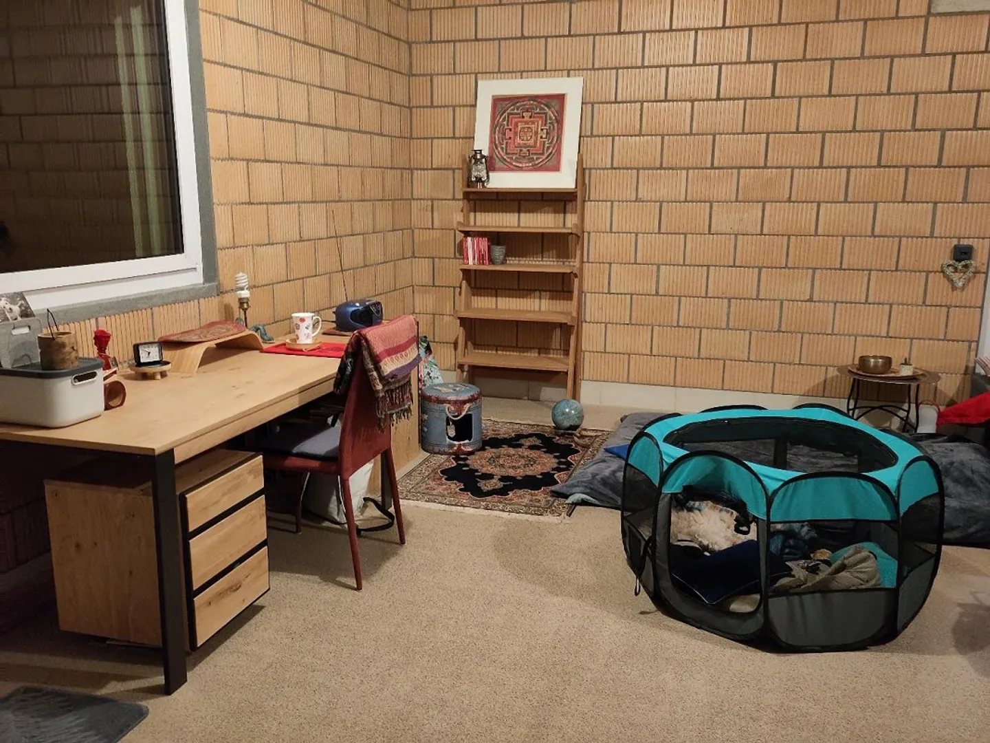 Two apartments for rent in Farvagny-le-Grand - Photo 3 of 13