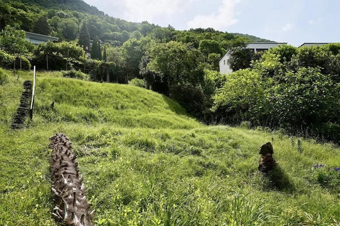 Building land of 320 m2 in a very quiet, sunny location with lake view / land... - Photo 4 of 13