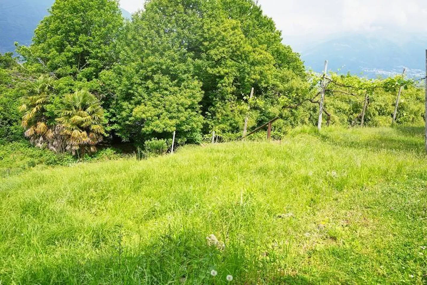 Building land of 320 m2 in a very quiet, sunny location with lake view / land... - Photo 9 of 13