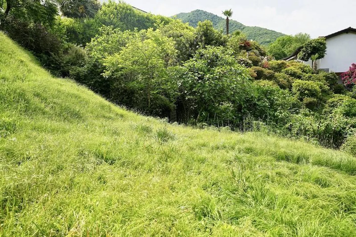Building land of 320 m2 in a very quiet, sunny location with lake view / land... - Photo 7 of 13