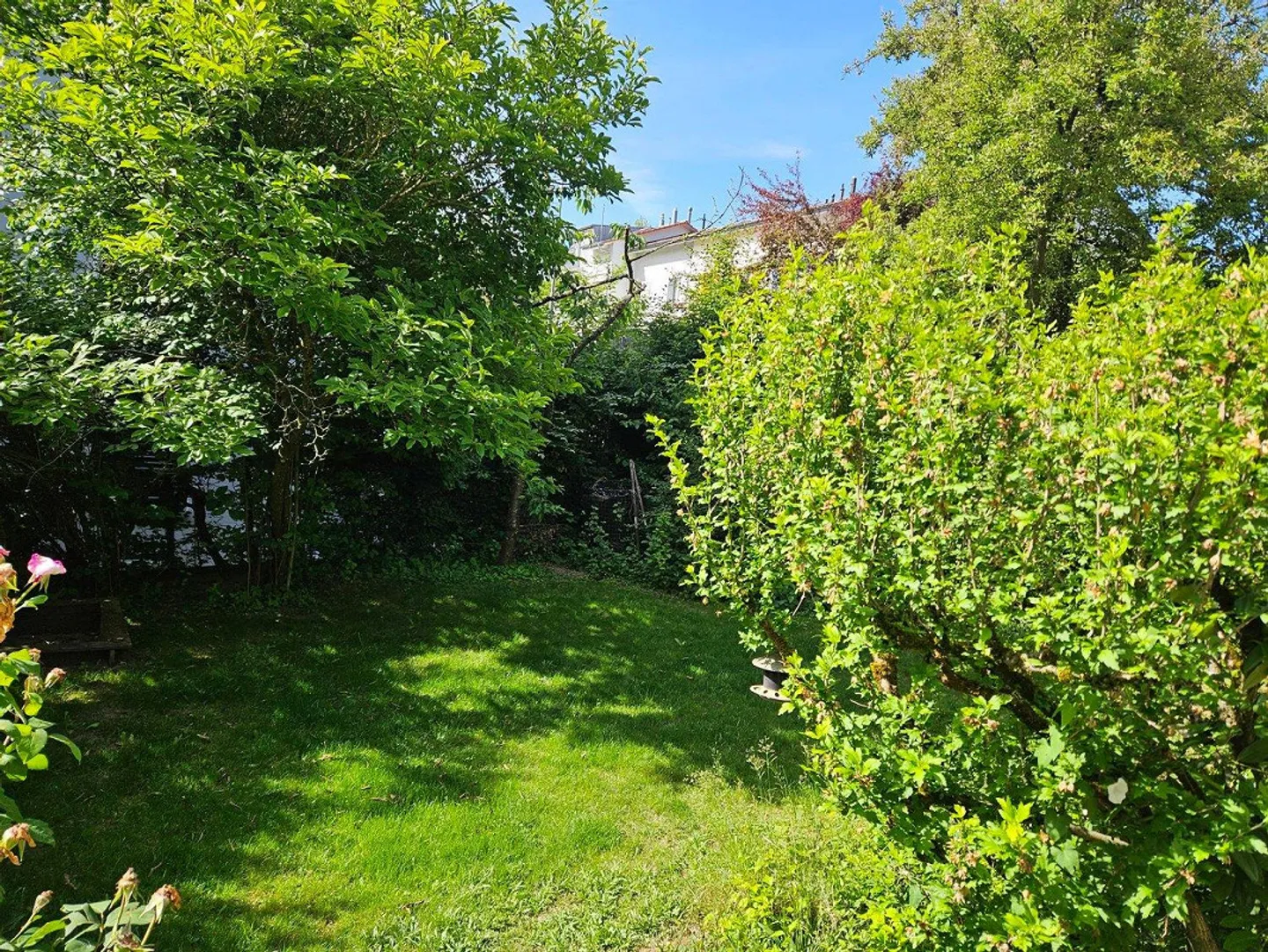 Incantevole casa bifamiliare con giardino soleggiato in una posizione tranquilla - Foto 12 di 13