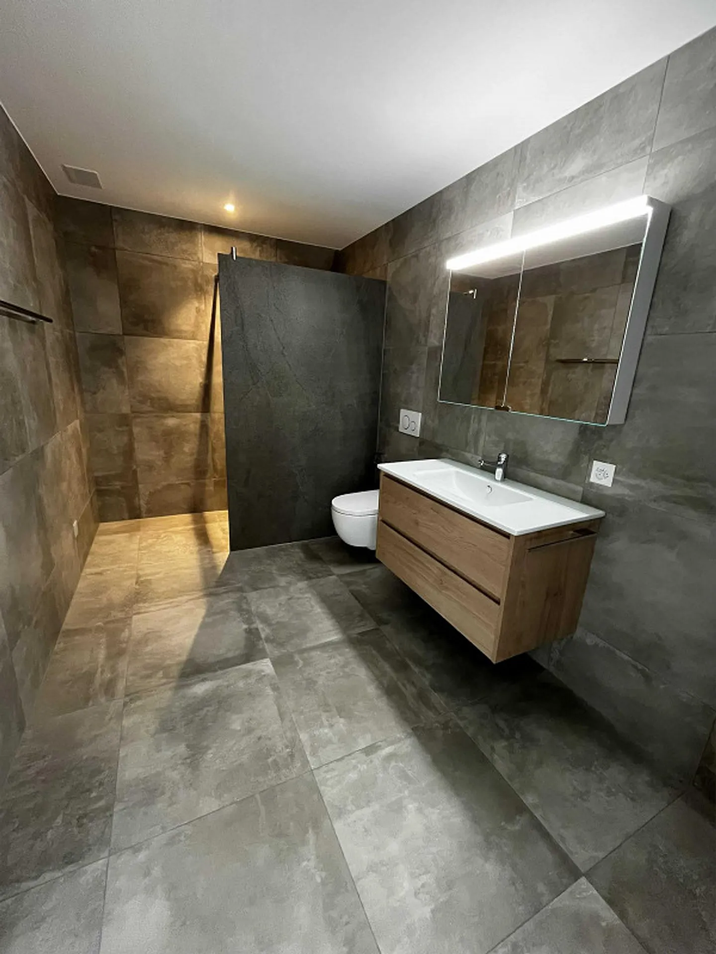 RENTAL: 3.5 Room Apartment (1st Floor South) 102m2 with Terrace - Photo 2 of 6