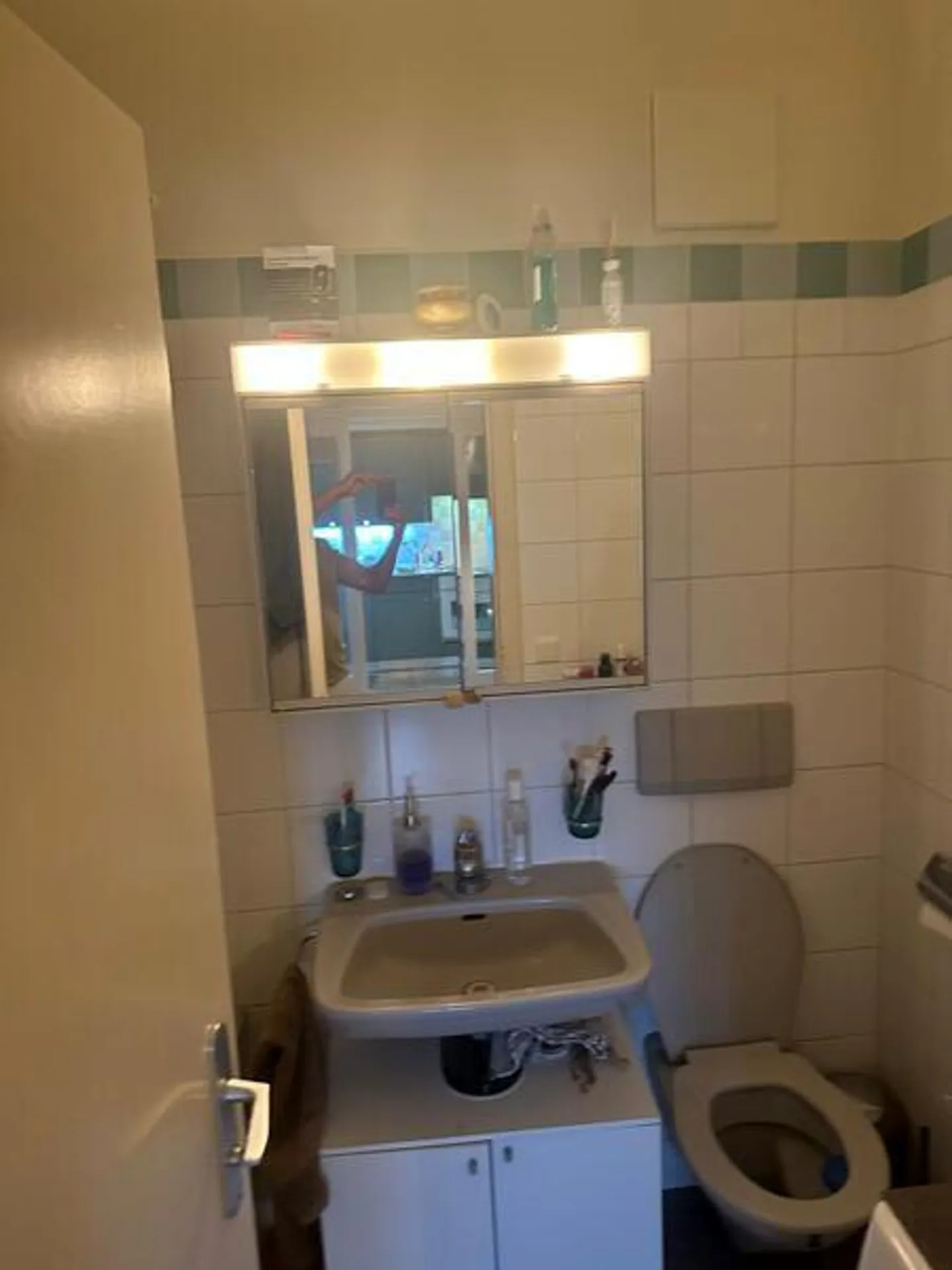 Duplex Apartment with Lake View - Photo 8 of 9
