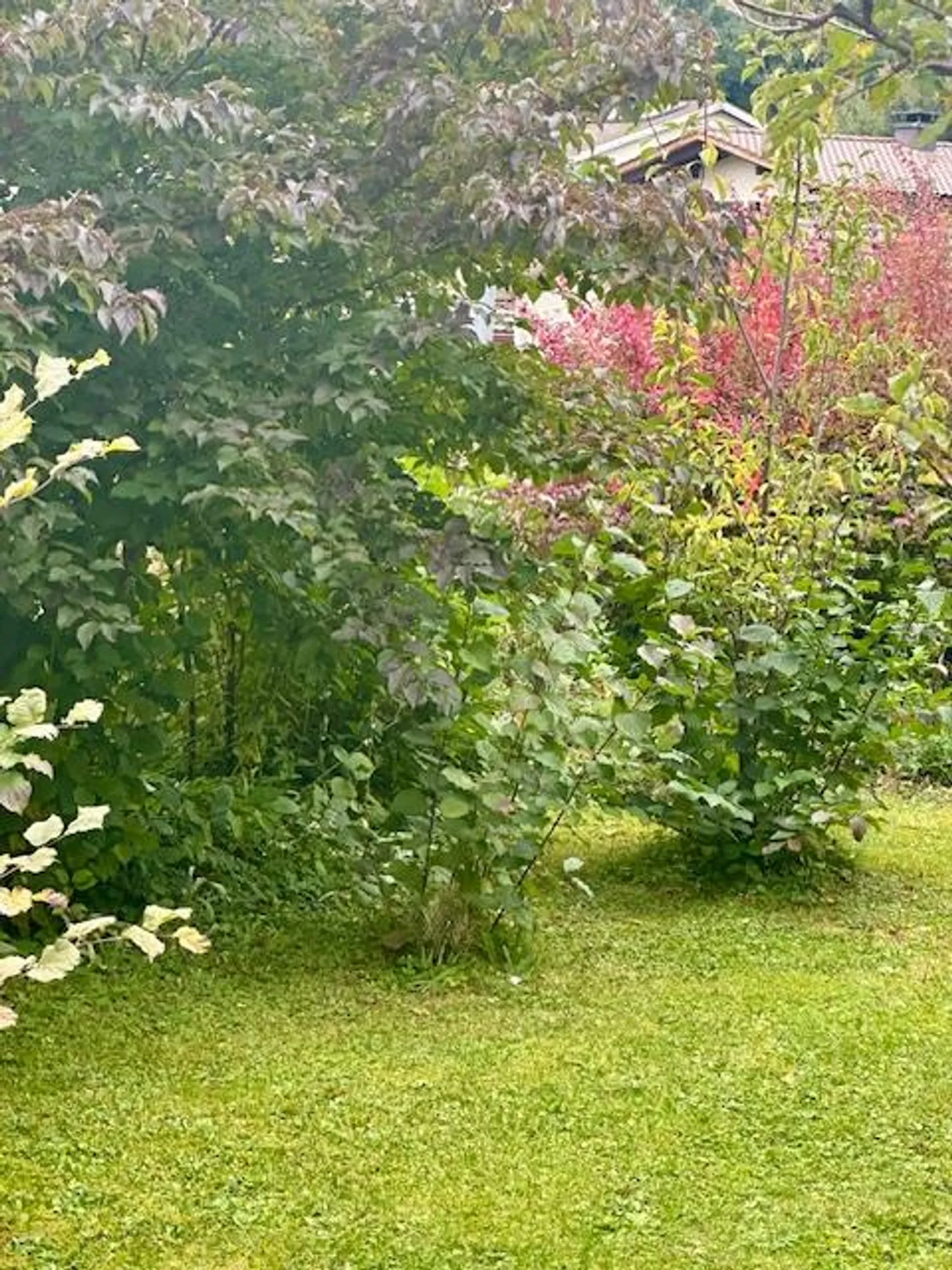 Appartamento 3.5 stanze con giardino condiviso - Foto 3 di 11