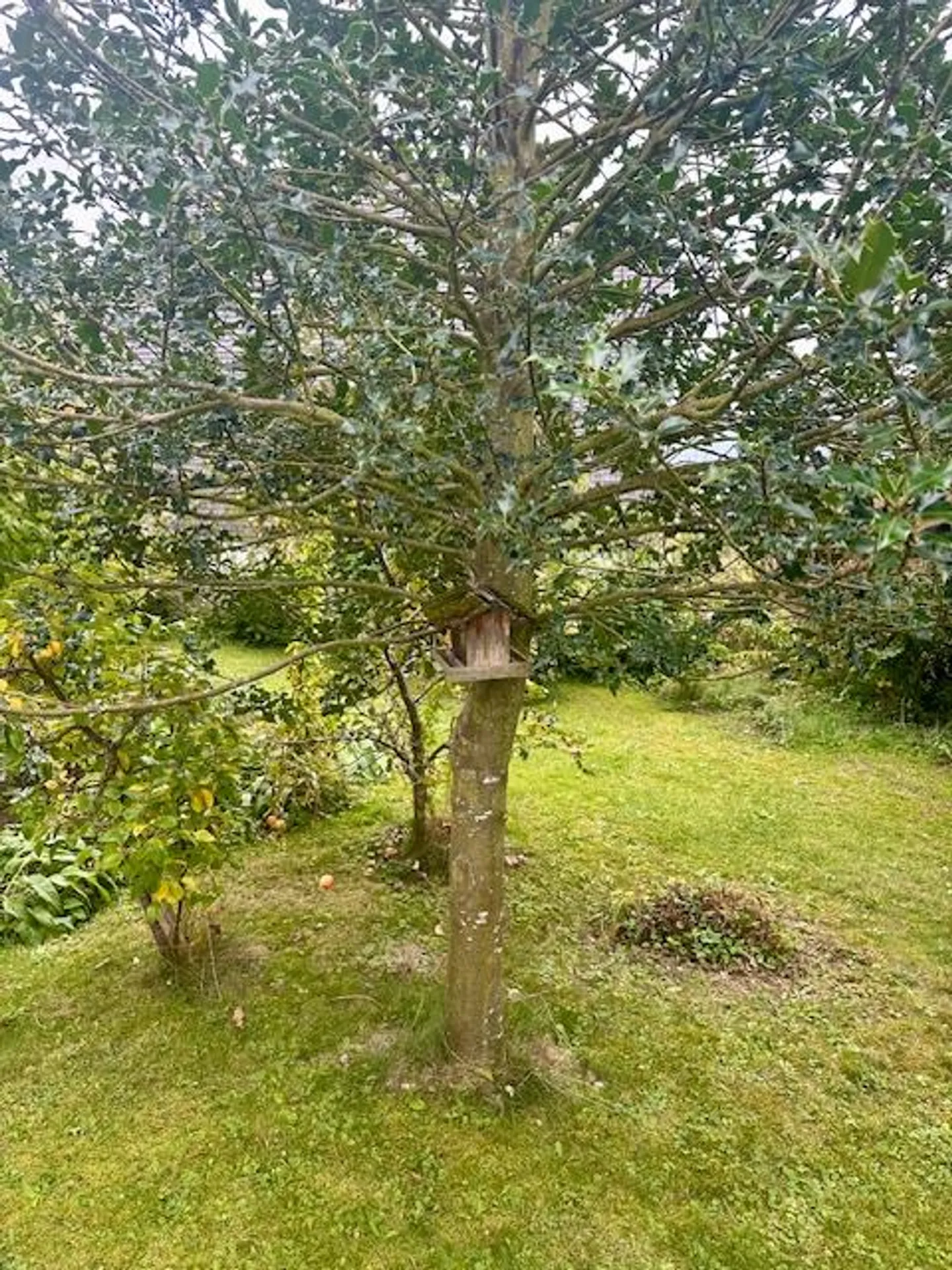 Appartamento 3.5 stanze con giardino condiviso - Foto 2 di 11