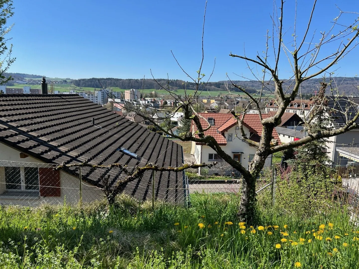 Casa singola in affitto - Foto 2 di 9