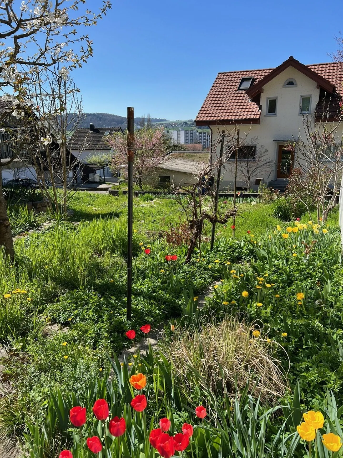 Casa singola in affitto - Foto 8 di 9