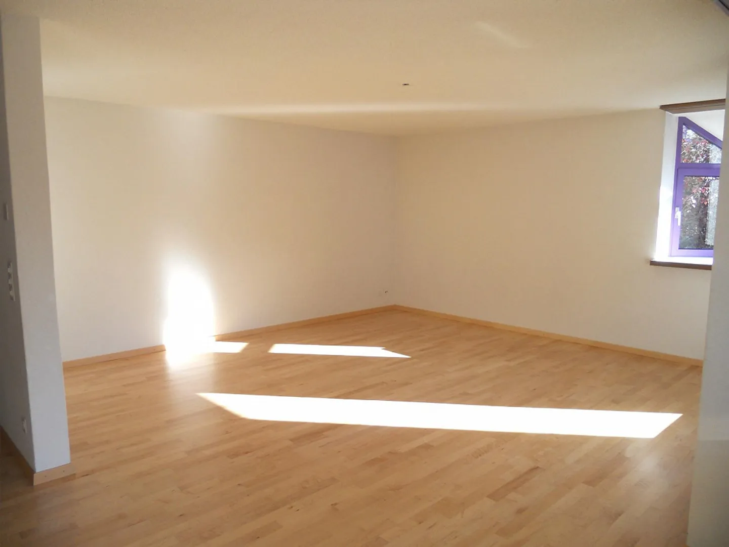 Spacious Family Apartment - Photo 5 of 9