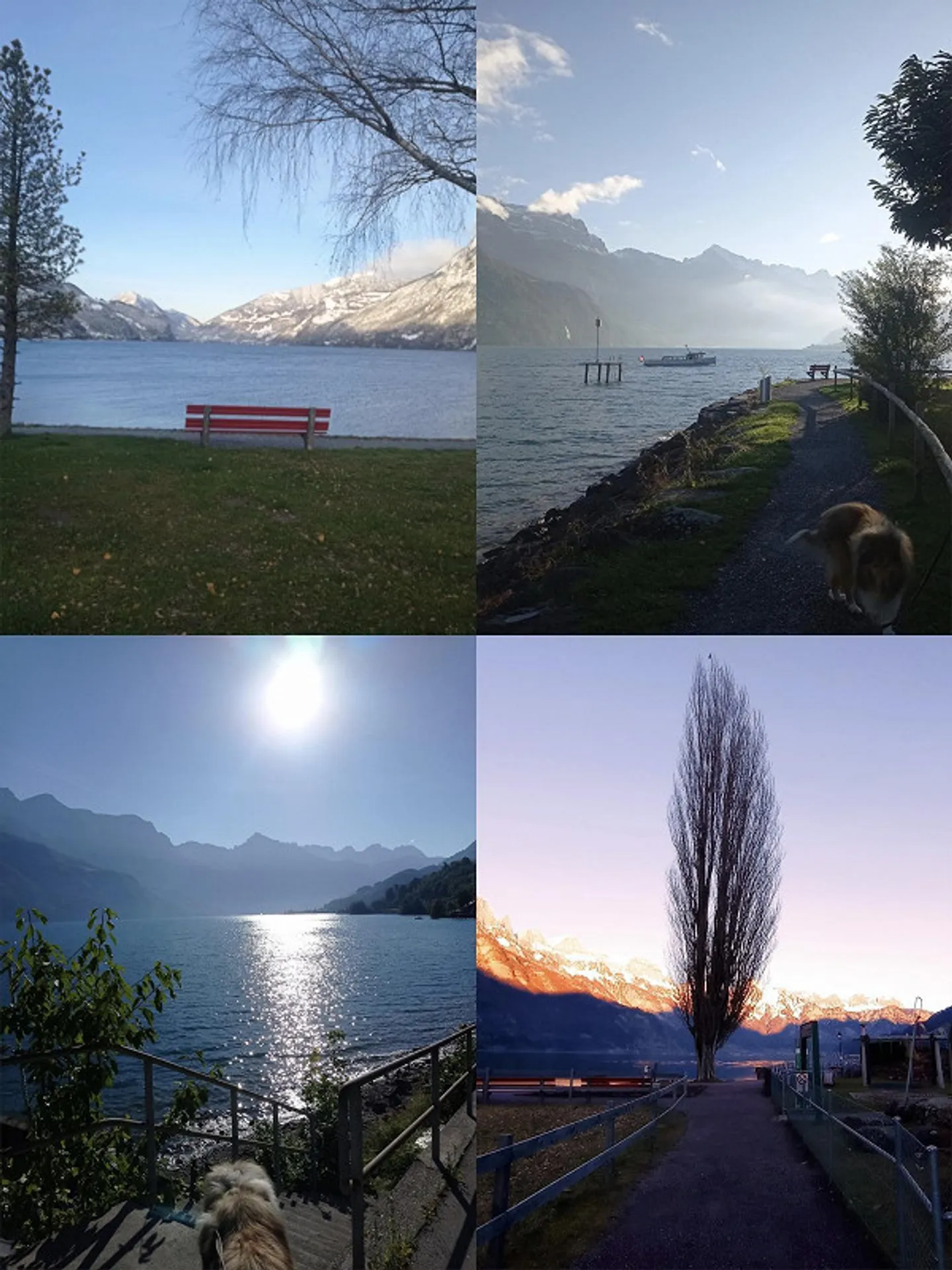 Traumwohnung am Wasser - Foto 14 von 15