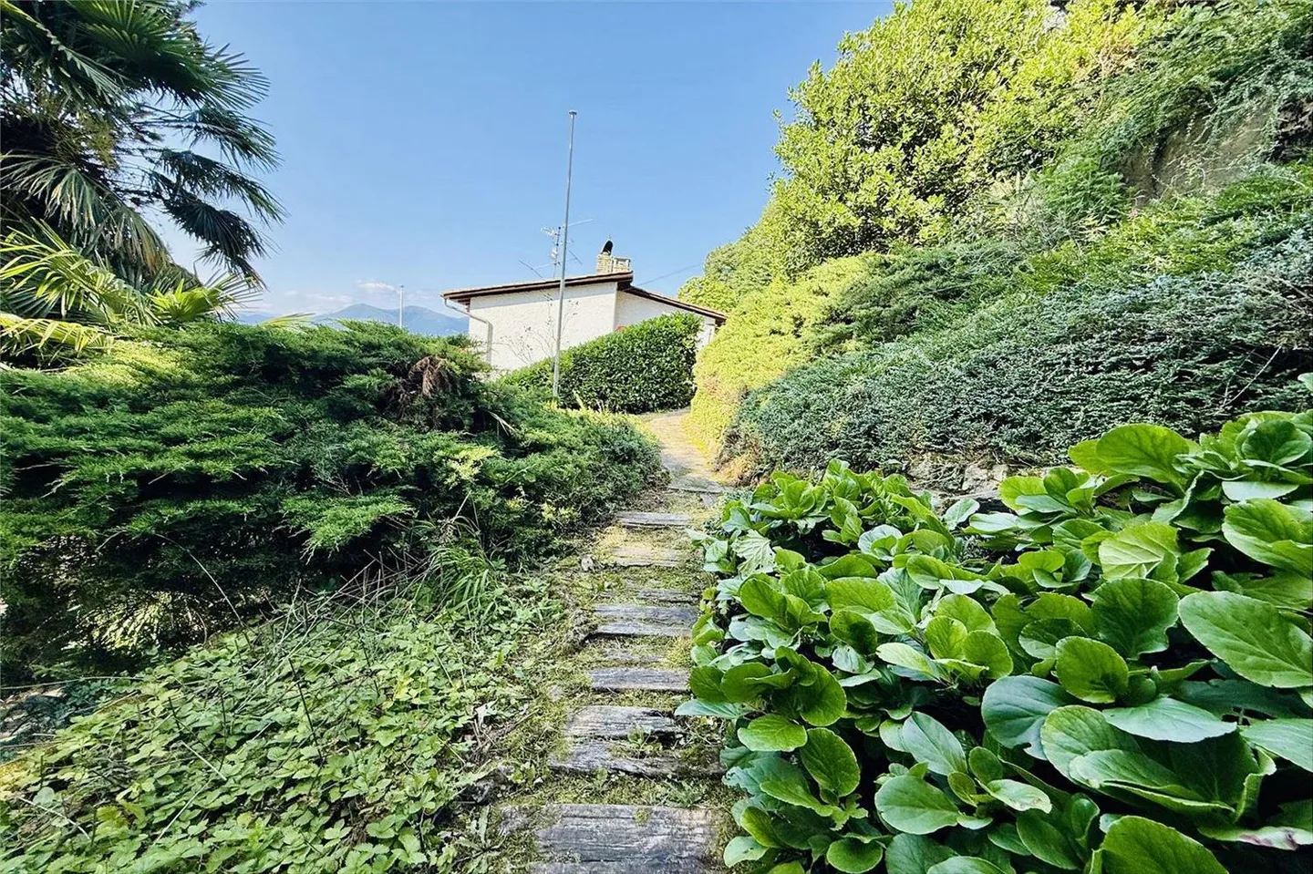 Lugano - Grande terreno edificabile nel verde | Lugano - Grande terreno edificabile nel verde  – Vista mozzafiato! - Foto 8 di 9