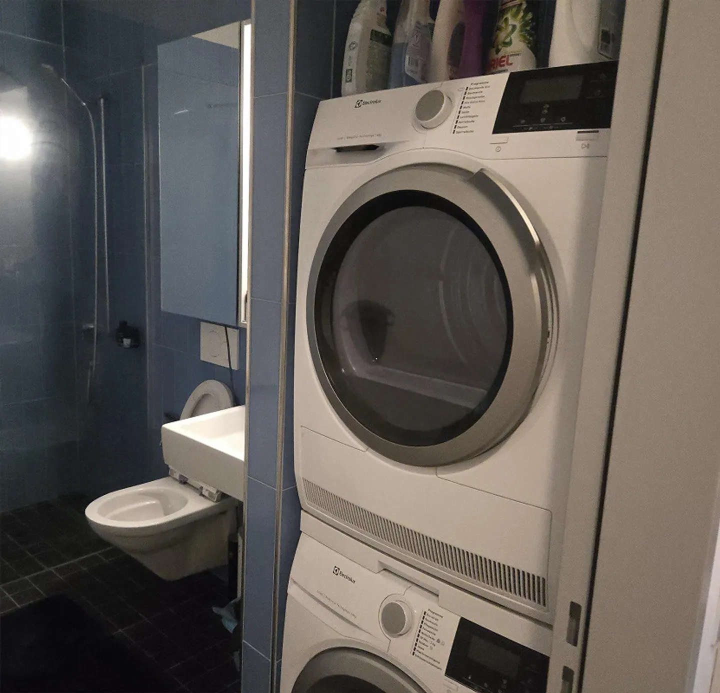 Appartamento 2.5 stanze con altezza soffitto speciale di 3.5M - Foto 3 di 3