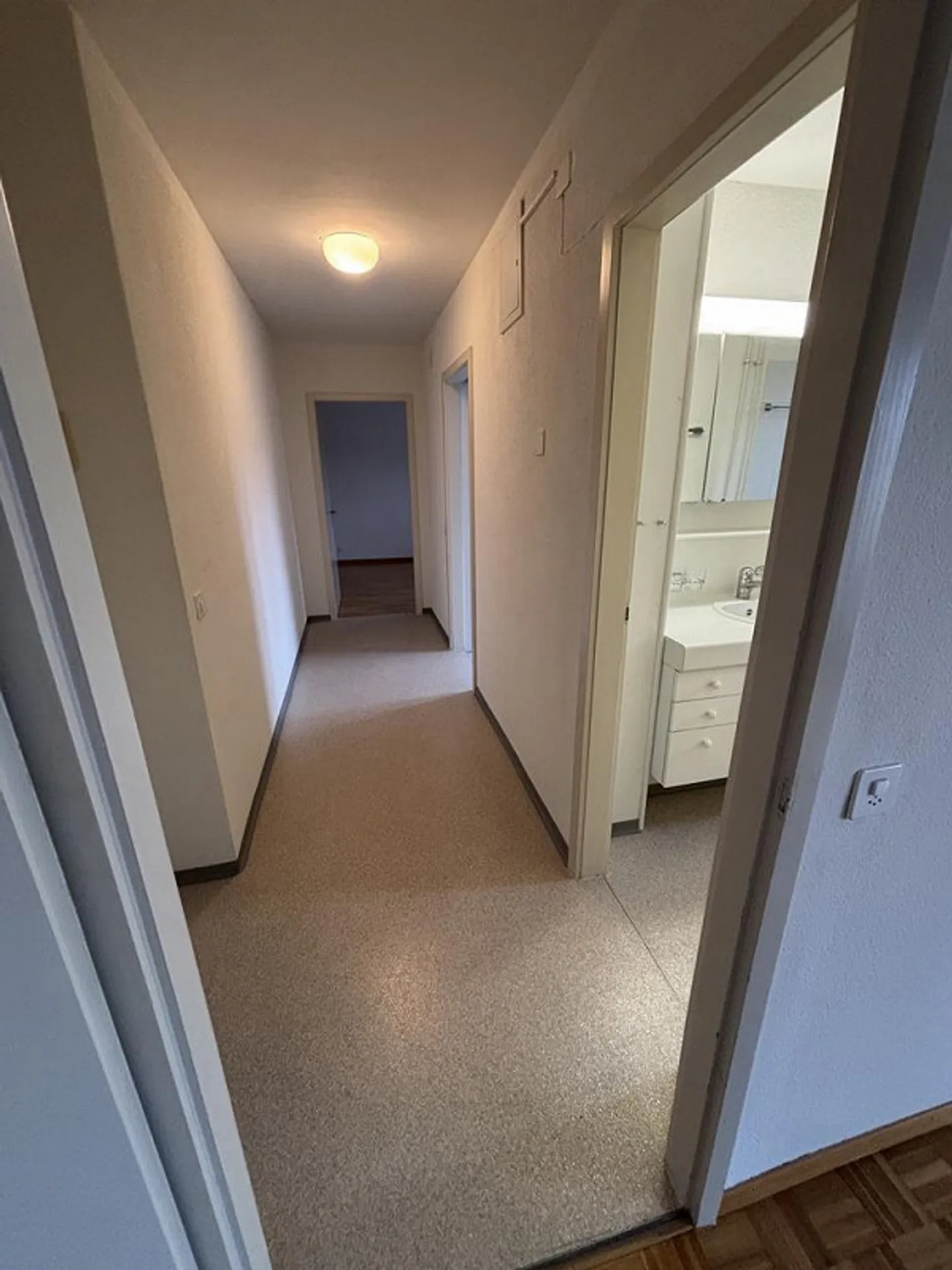 Visite : Lundi, 19.01.2026 de 16h00 à 17h00 - Photo 8 sur 9