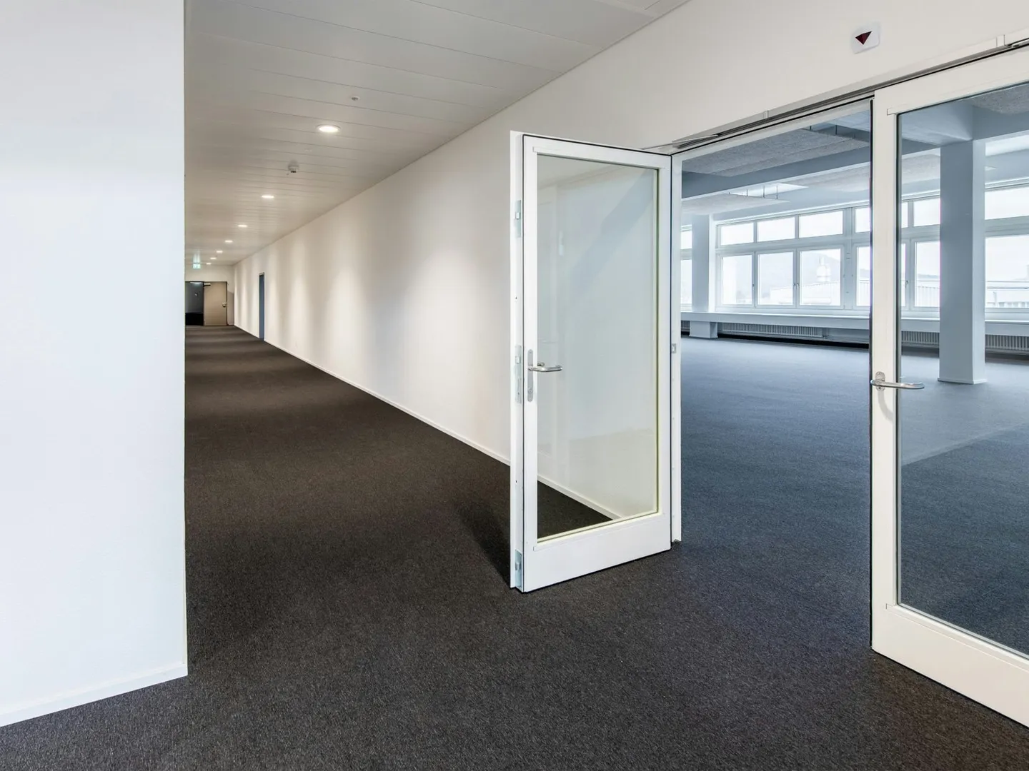 Frisch renovierte, helle Büros ab 60 m² - 250 m² mit Lageroption - Foto 6 von 13