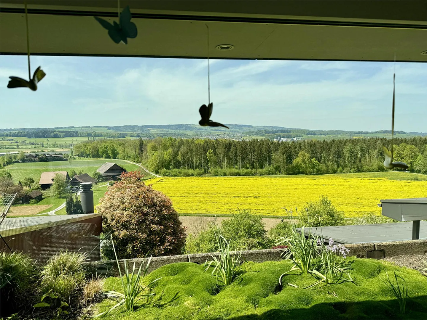 Quiet Living in the Green with Plenty of Privacy - Photo 4 of 7
