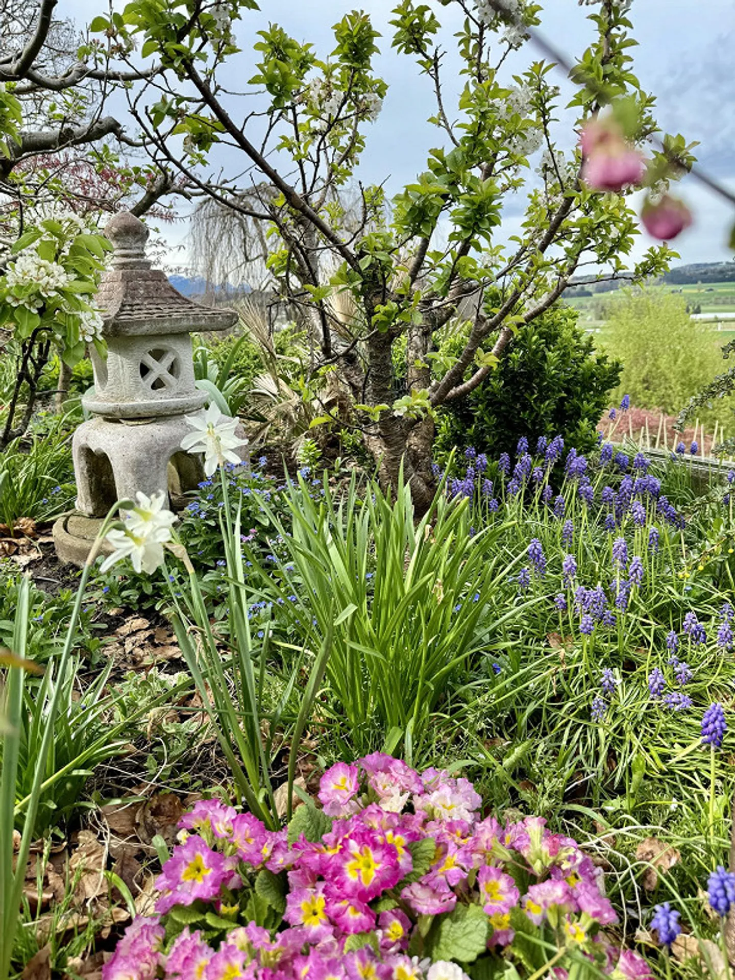 Quiet Living in the Green with Plenty of Privacy - Photo 7 of 7