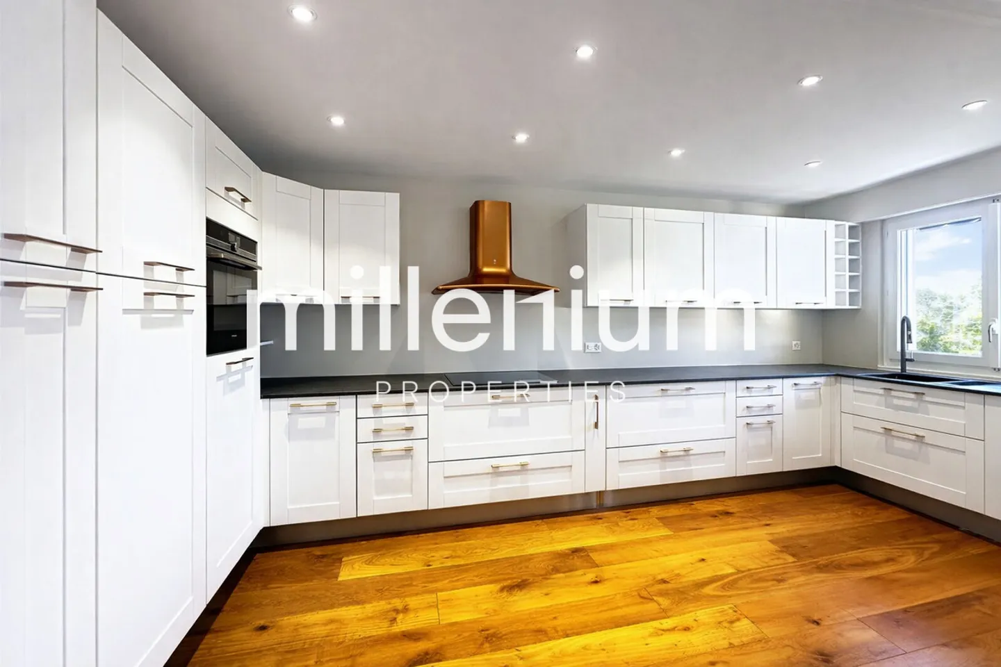 Magnificent apartment located in Corsier - Photo 4 of 11