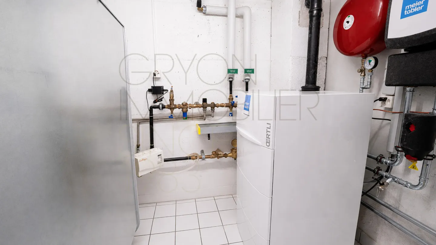 Chalet à Gryon - Entièrement Rénové - Photo 31 sur 34