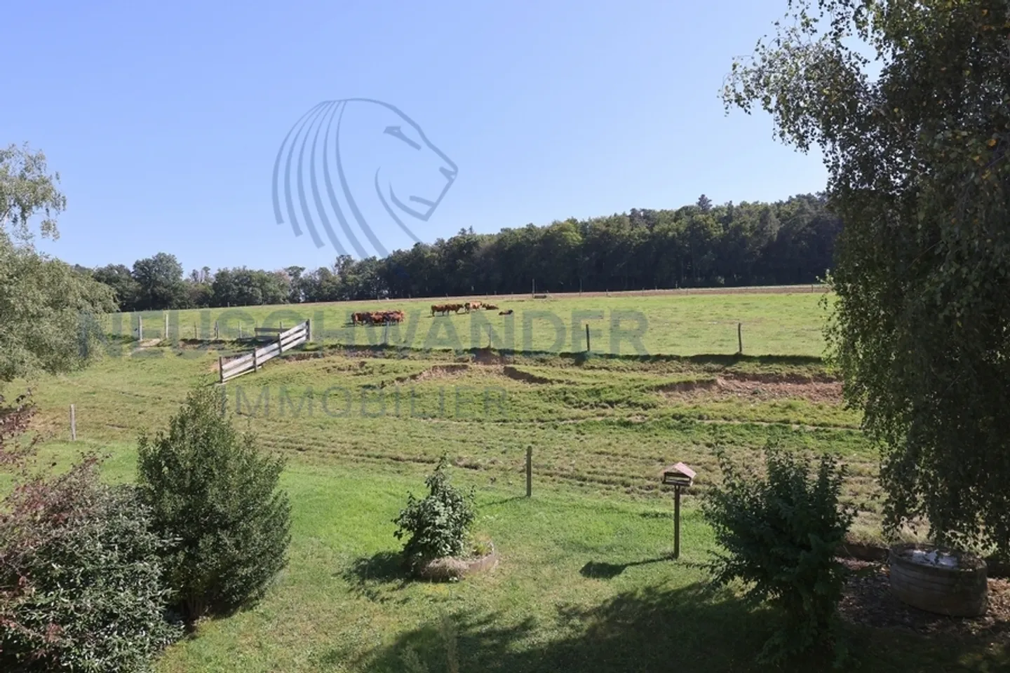 Großes Grundstück auf einem 3.200 m2 großen Grundstück inmitten der Natur. - Foto 12 von 20