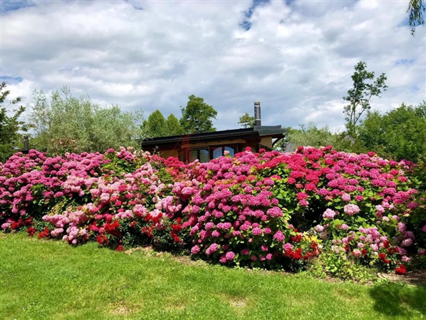 Extraordinary House in the Heart of a Lush Park - Photo 1 of 7