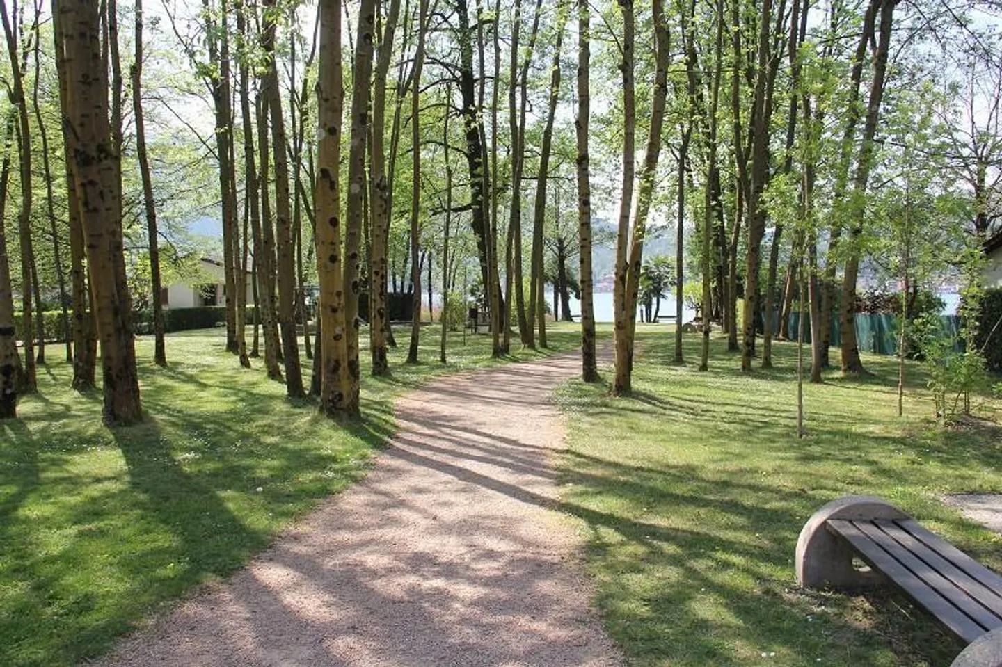 Studio 1 1/2 pièces au sous-sol dans la résidence "Parcolago" au bord du lac - Photo 8 sur 12