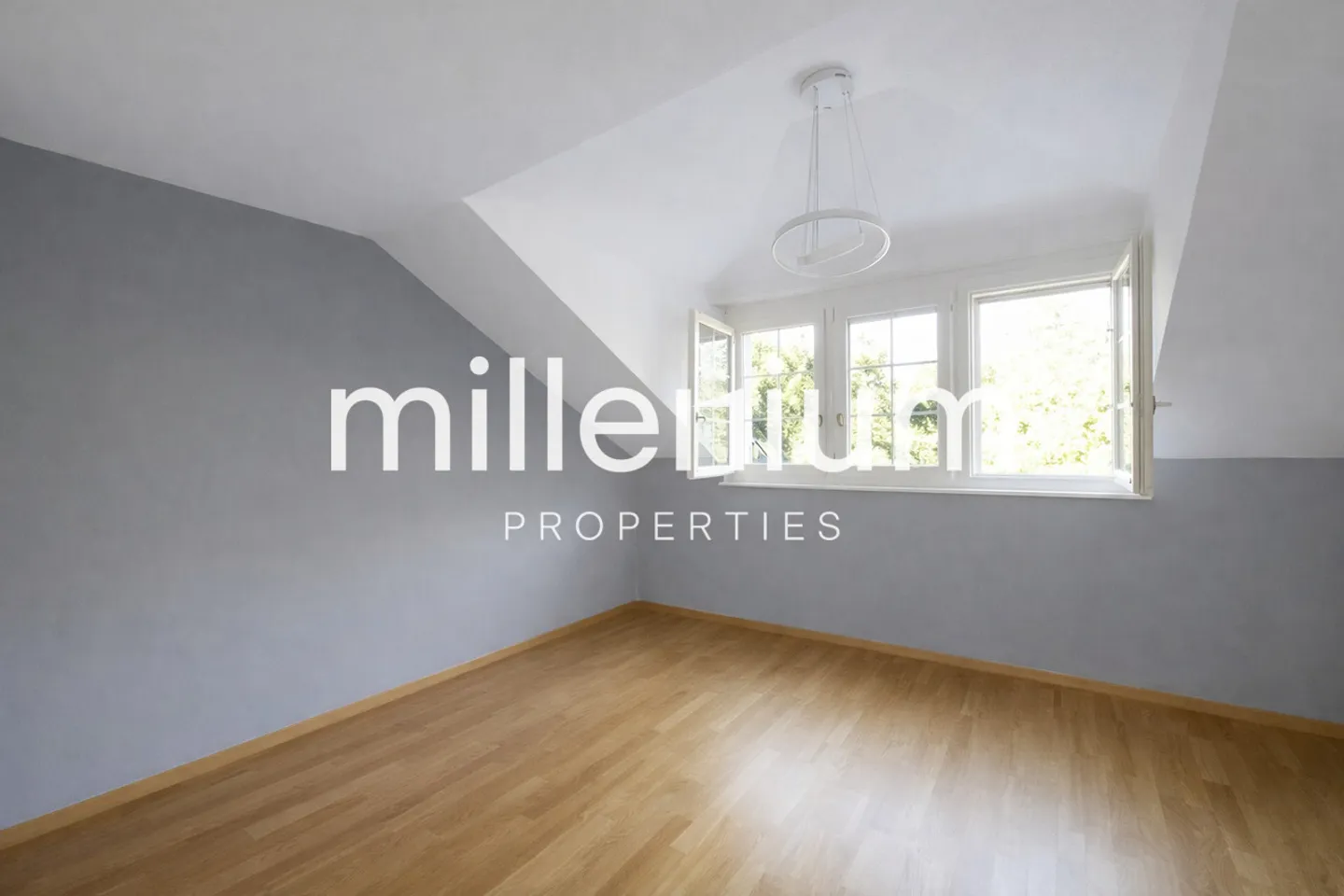 Family house with studio in Hermance near the lake - Photo 6 of 15