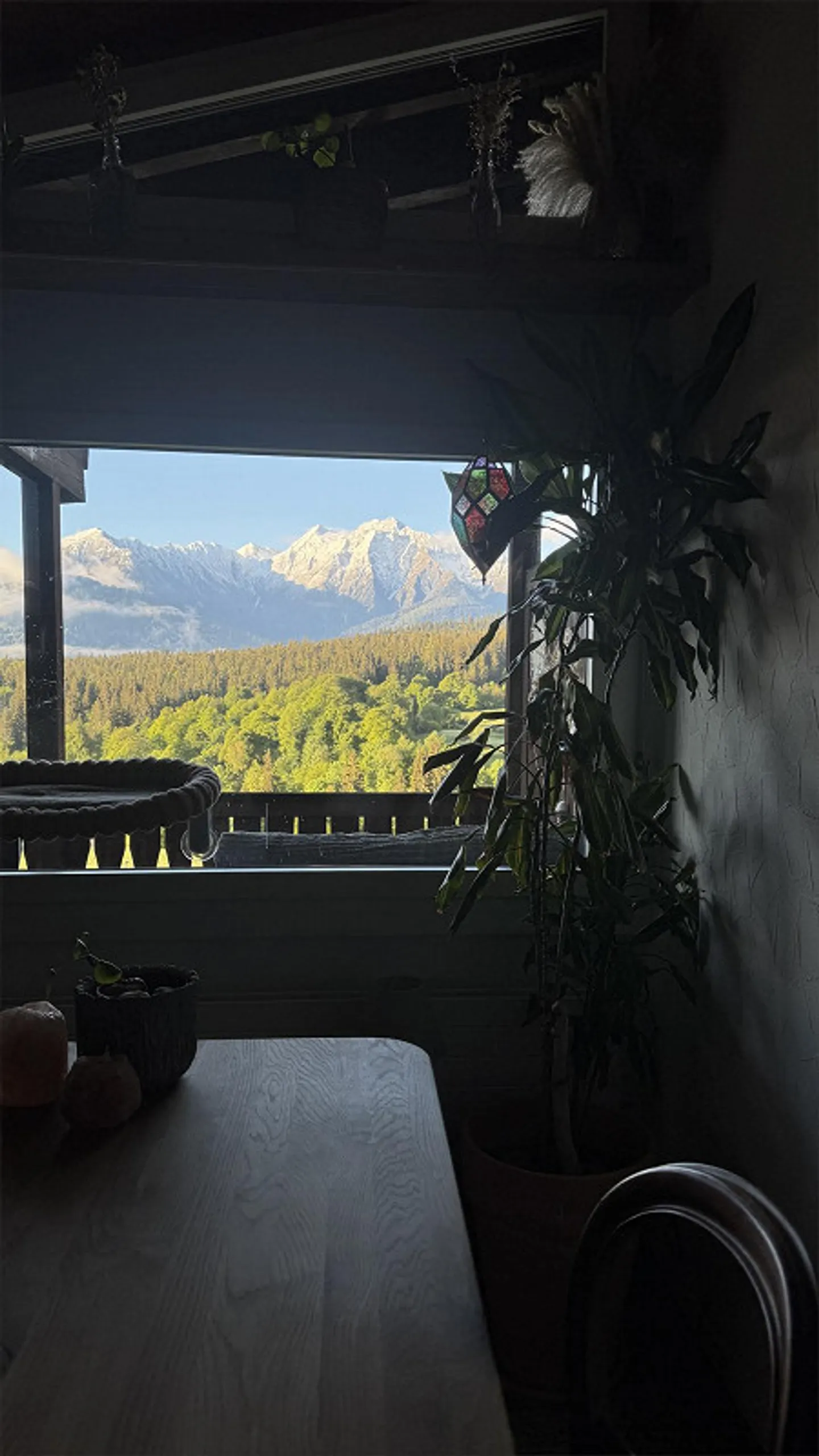 Ampio appartamento di 2,5 stanze con vista montagna nel villaggio di Flims - disponibile immediatamente - Foto 1 di 9