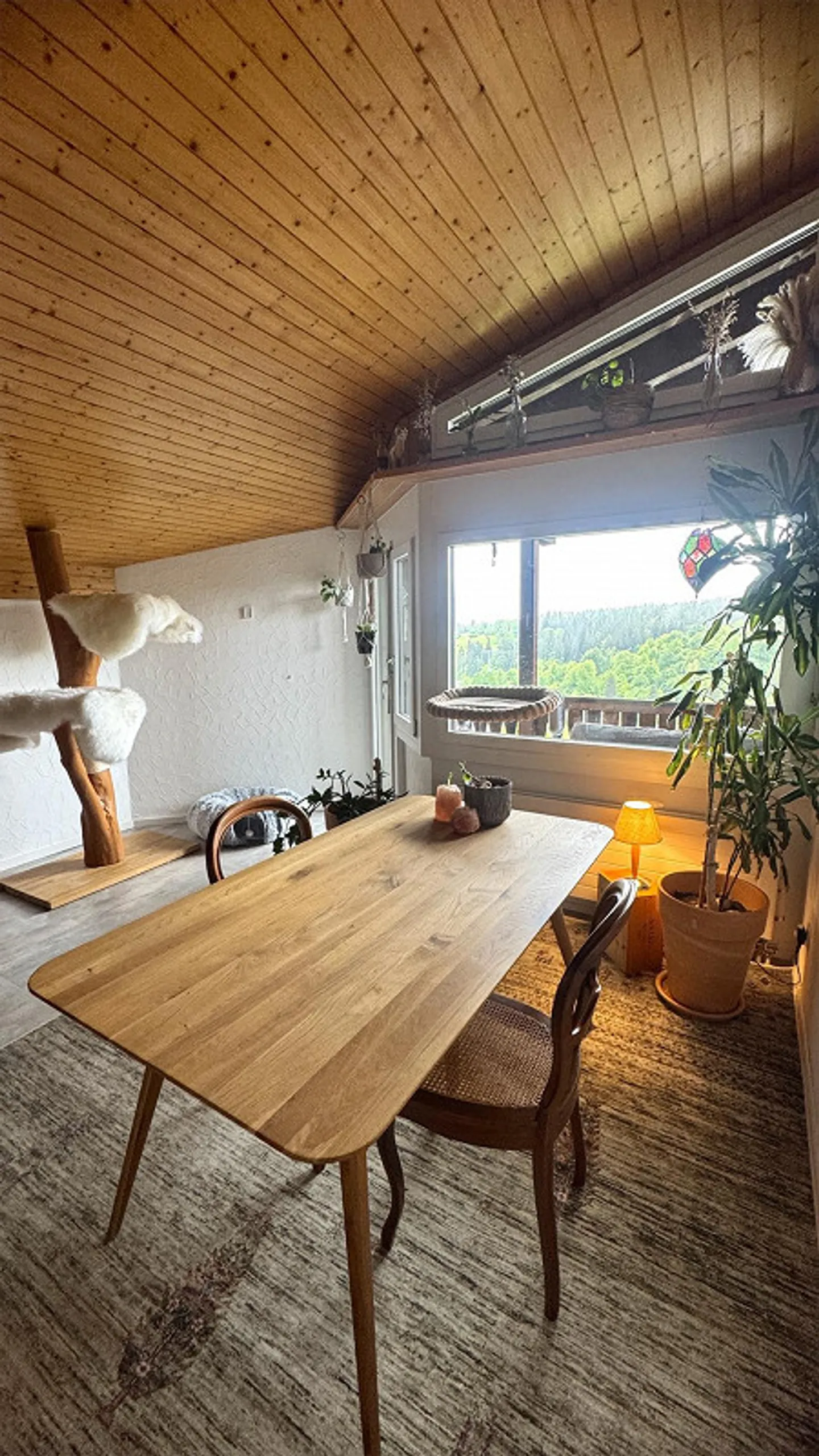 Ampio appartamento di 2,5 stanze con vista montagna nel villaggio di Flims - disponibile immediatamente - Foto 2 di 9