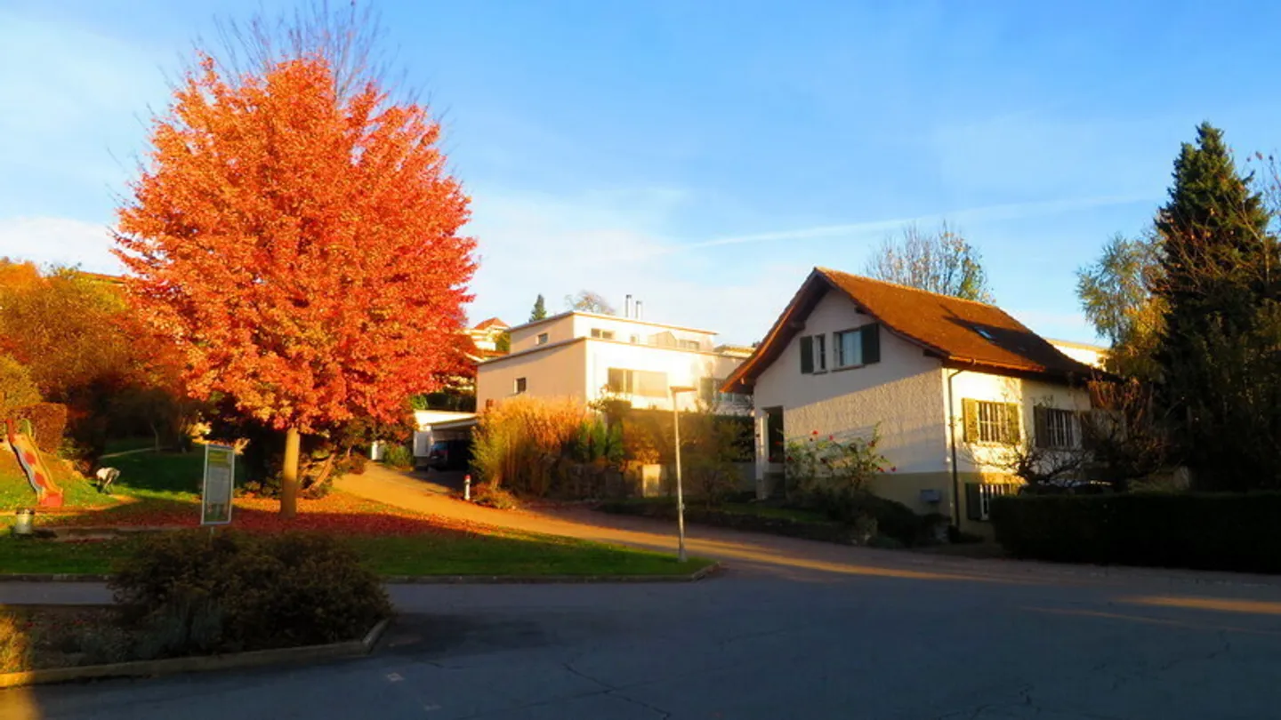 Casa singola in affitto - Foto 4 di 4